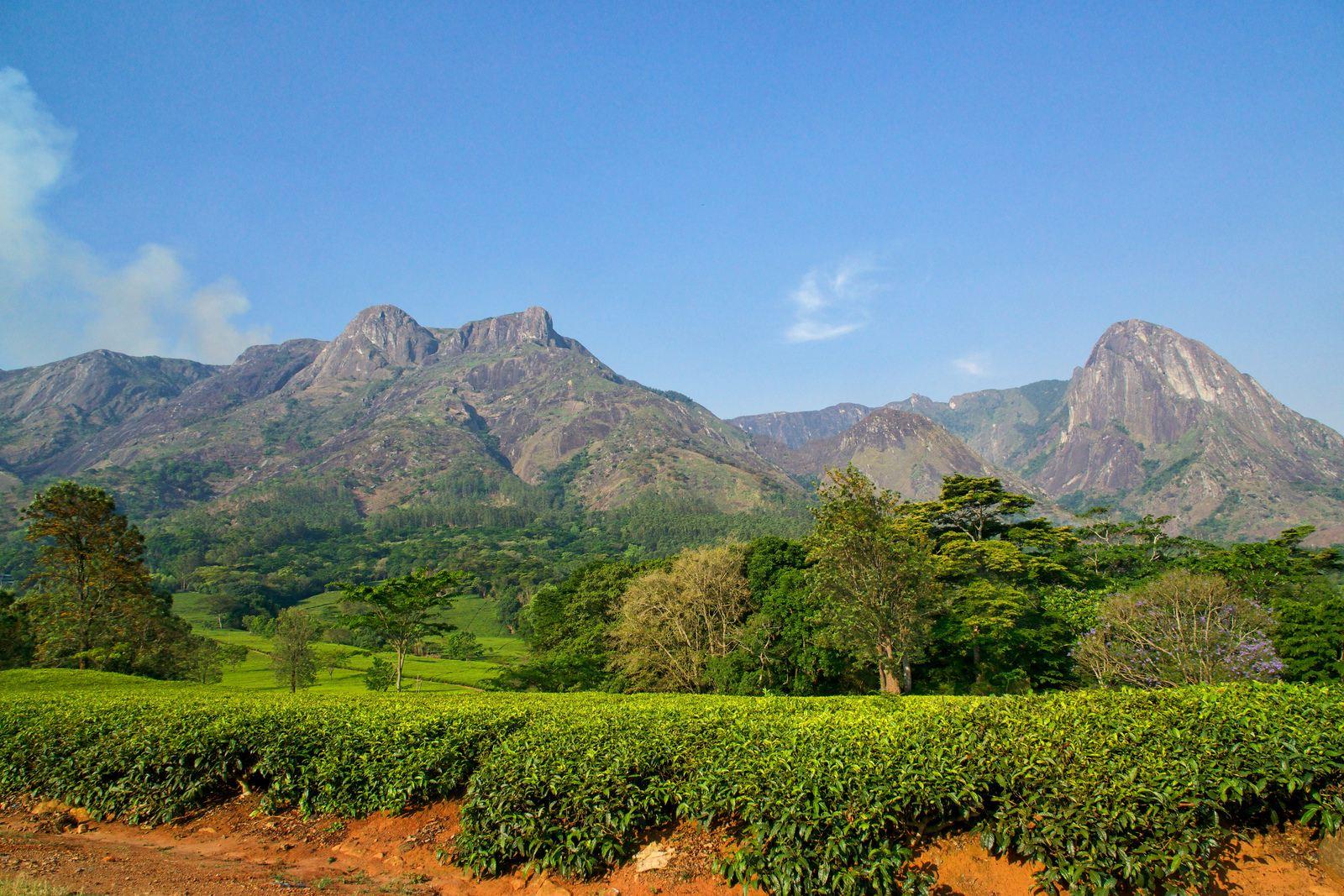 Mount Mulanje Wallpapers