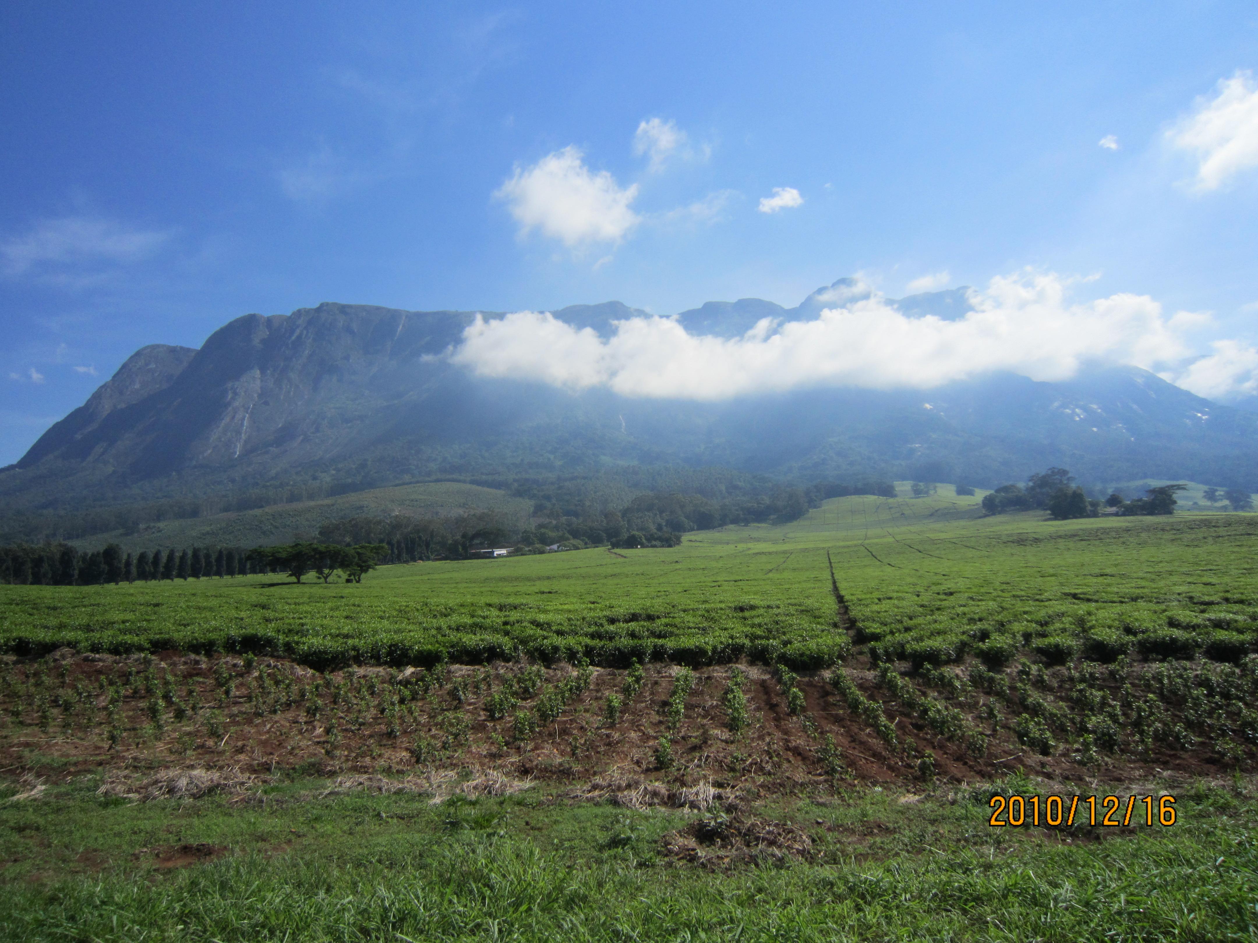 Mount Mulanje Wallpapers