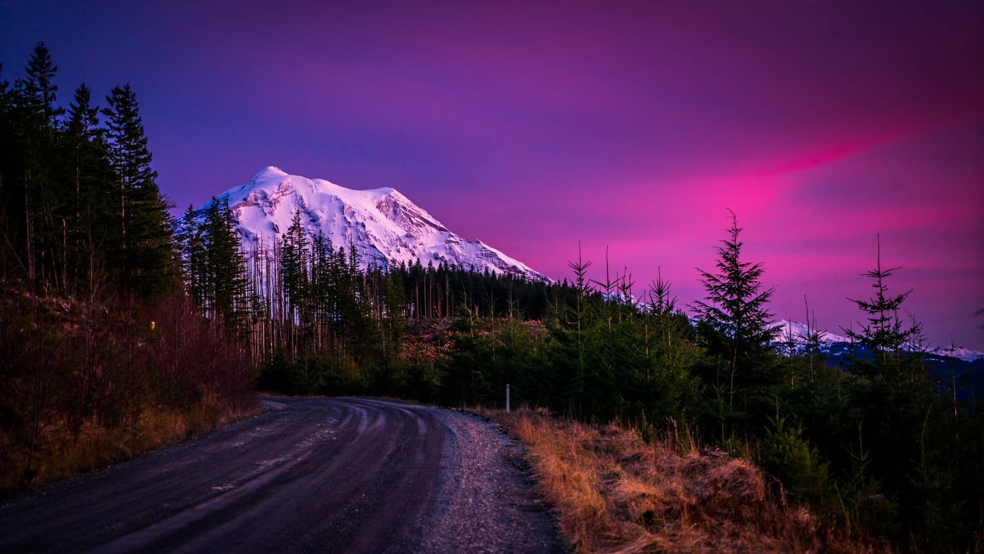 Mount Rainier 4K Wallpapers