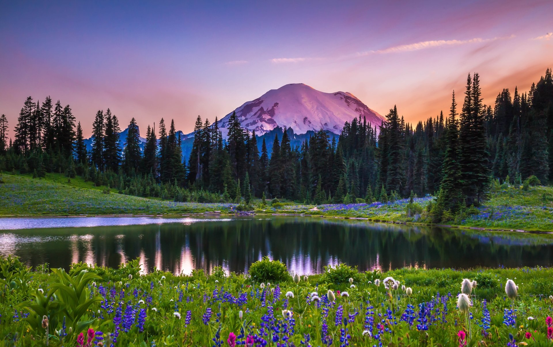 Mount Rainier Hd Valley Wallpapers