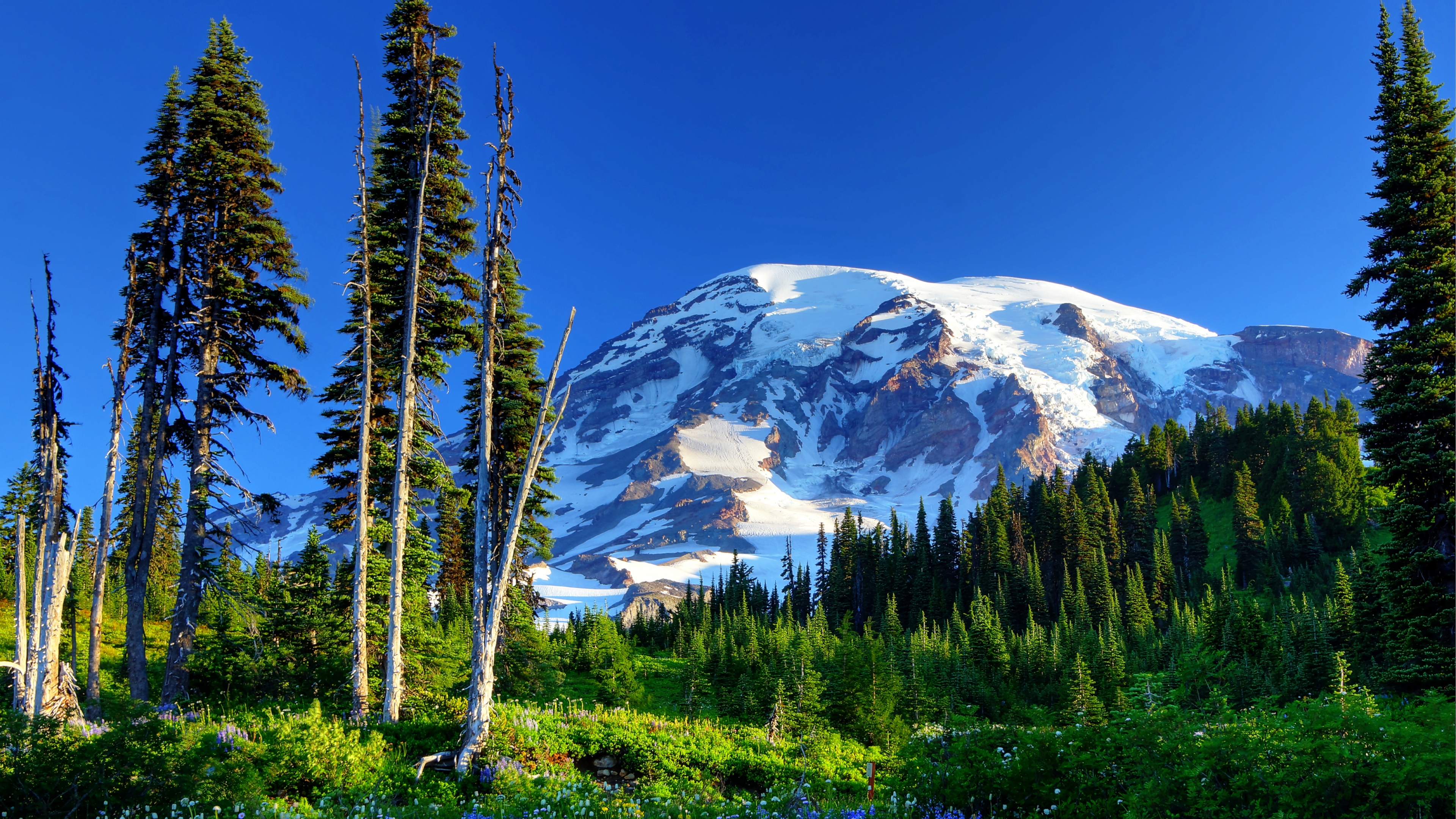 Mount Rainier Hd Valley Wallpapers