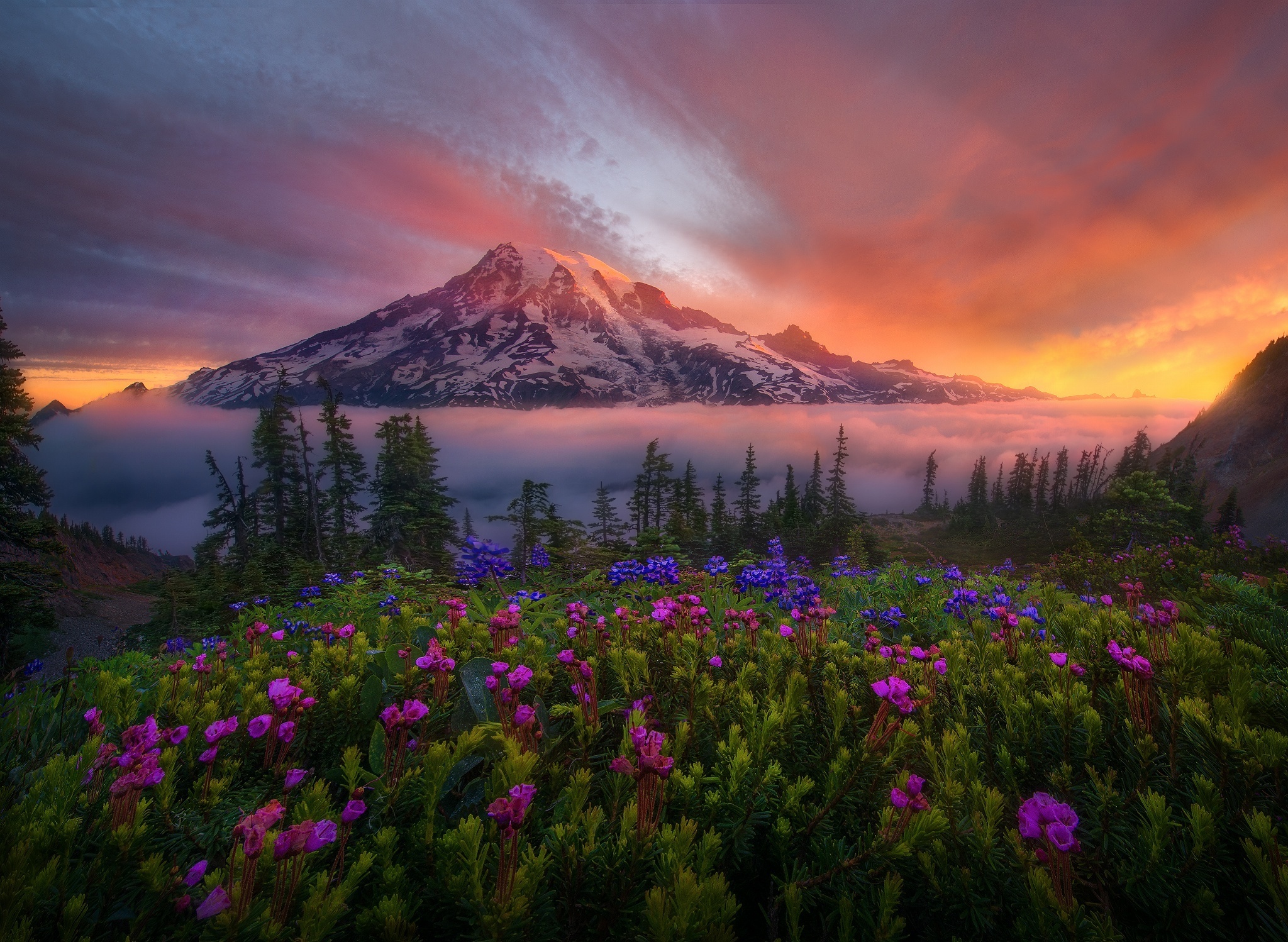 Mount Rainier Wallpapers