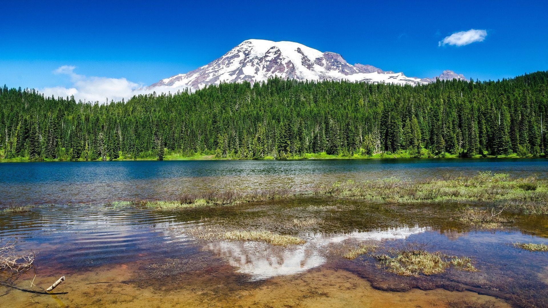 Mount Rainier Wallpapers