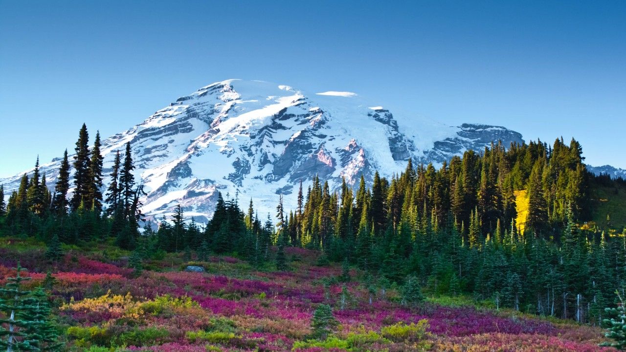 Mount Rainier Wallpapers