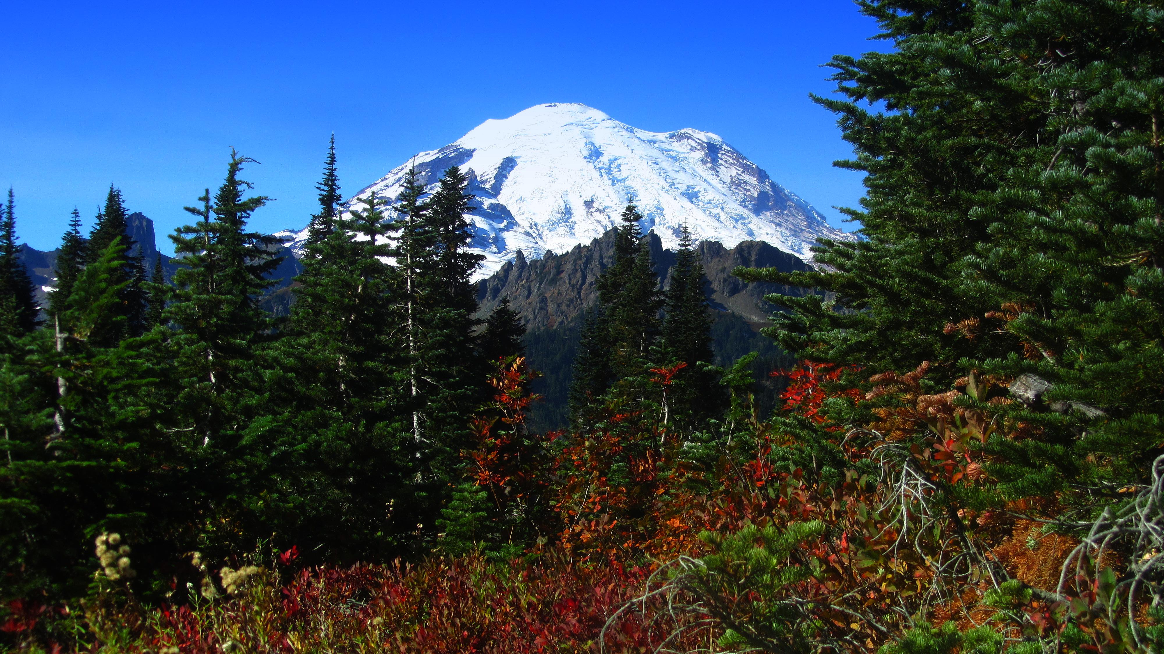 Mount Rainier Wallpapers