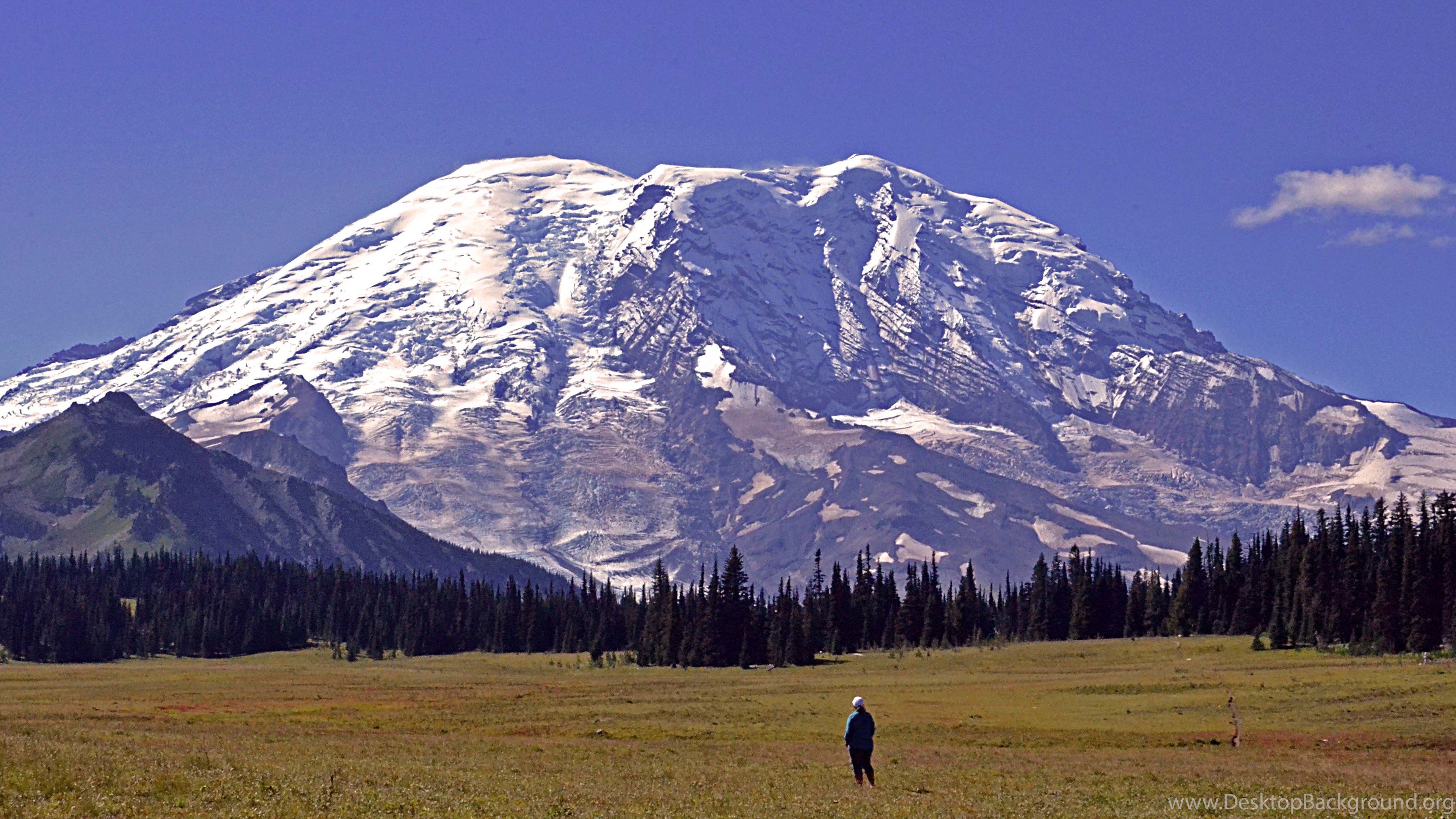 Mount Rainier Zoom Background