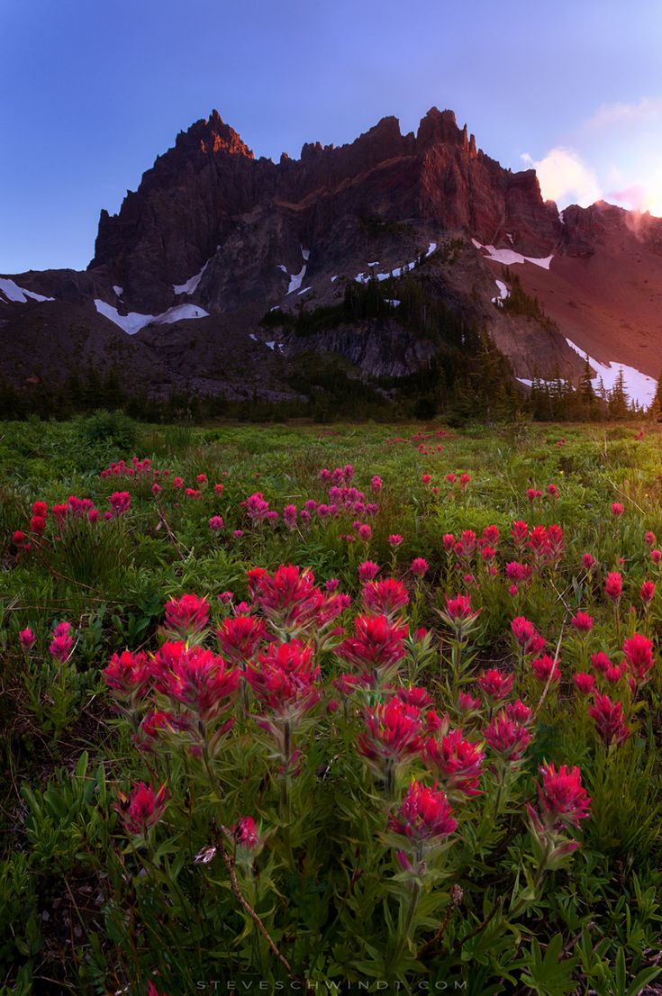 Mount Three Fingered Jack Wallpapers