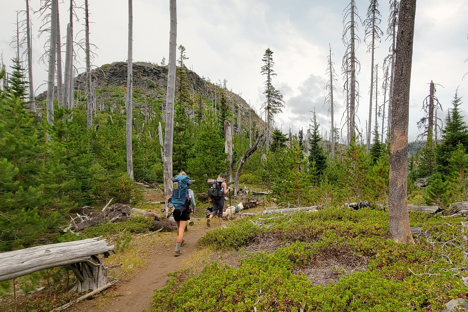 Mount Three Fingered Jack Wallpapers