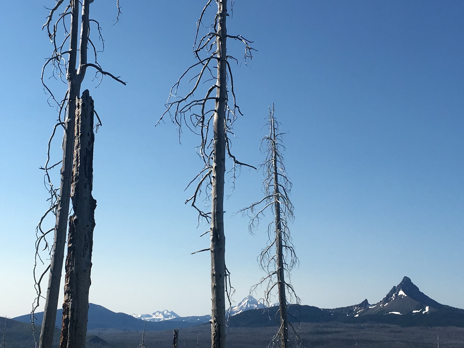 Mount Three Fingered Jack Wallpapers