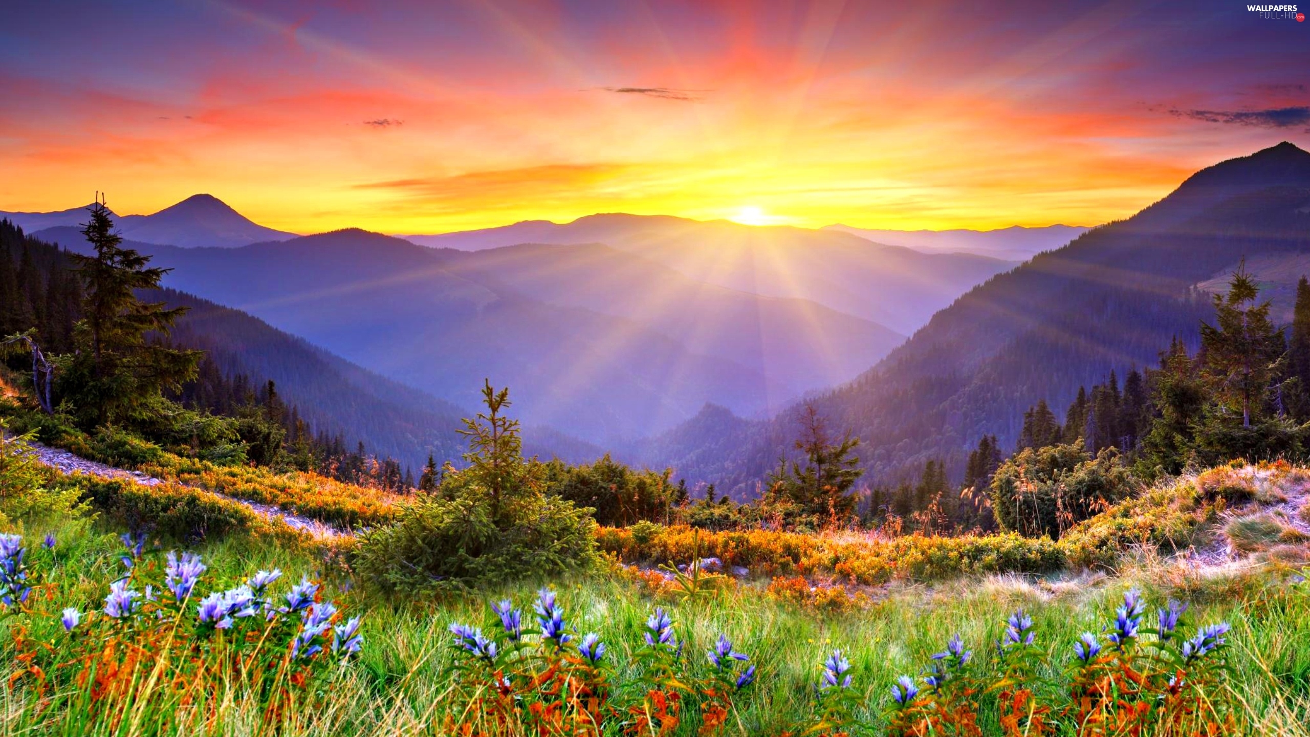 Mountain And Sun Wallpapers