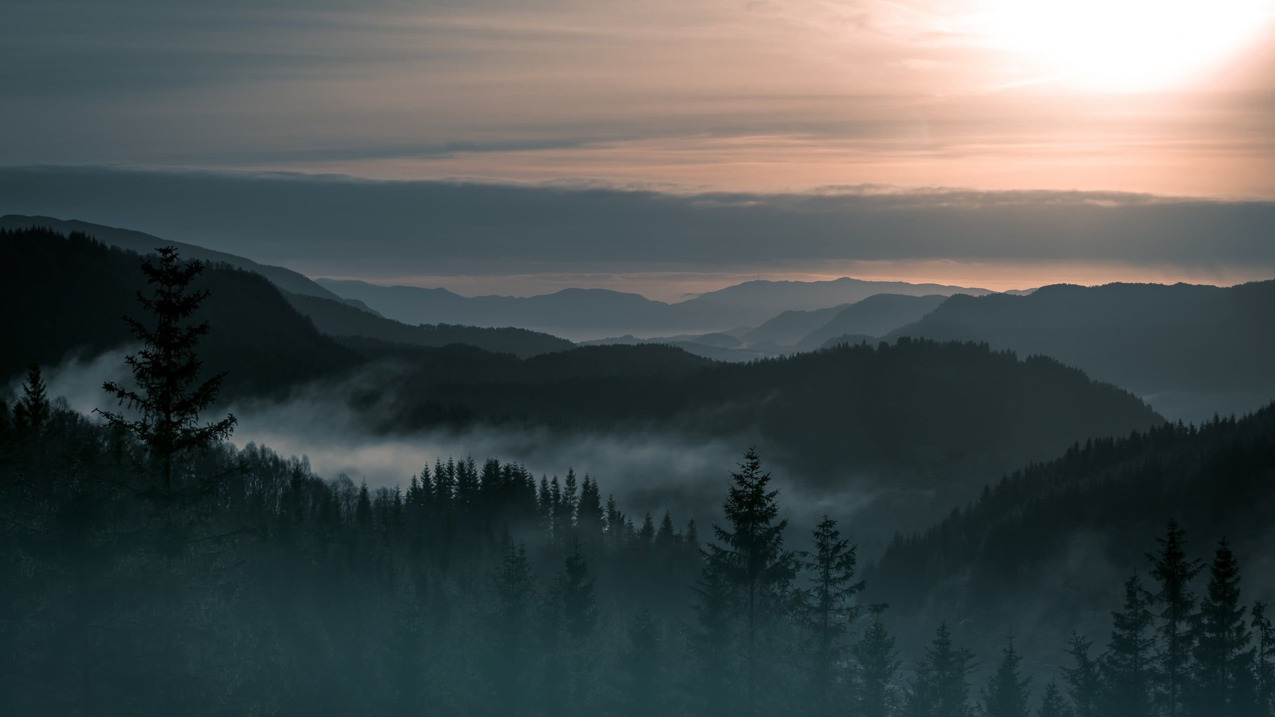 Mountain And Trees Background