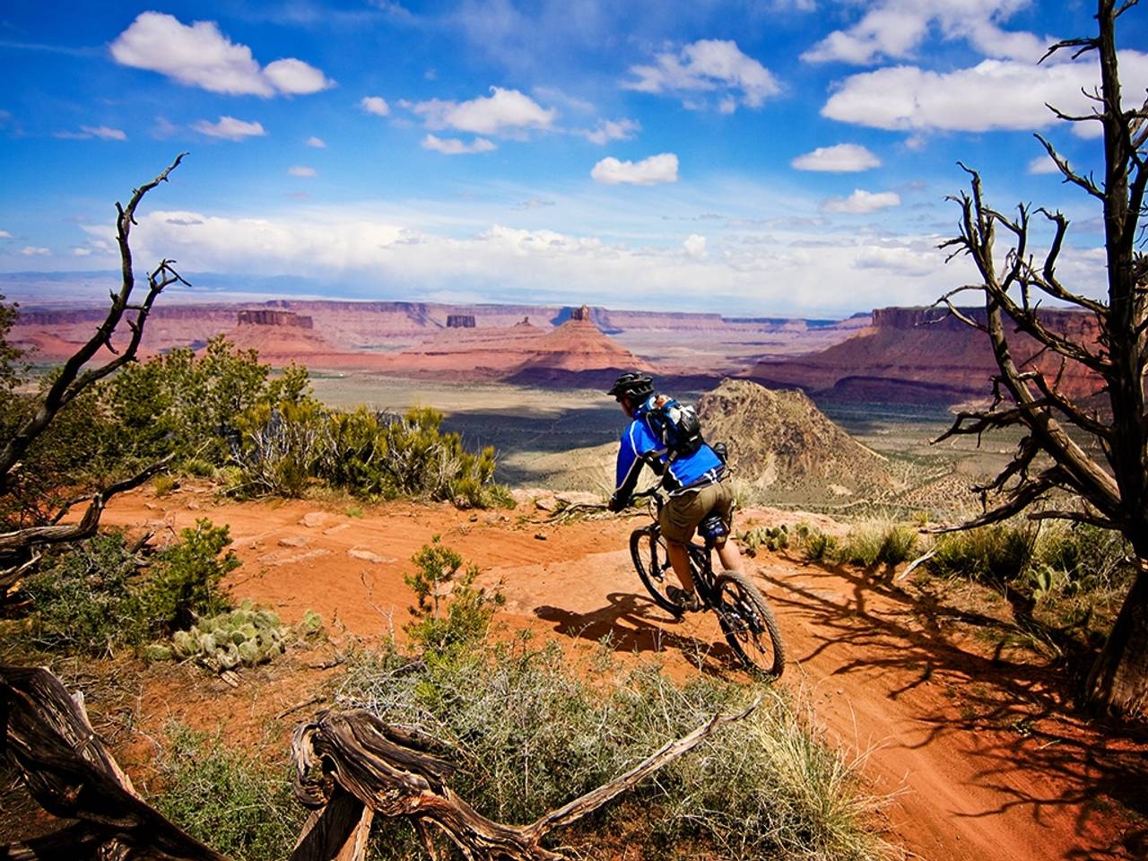 Mountain Bike Wallpapers