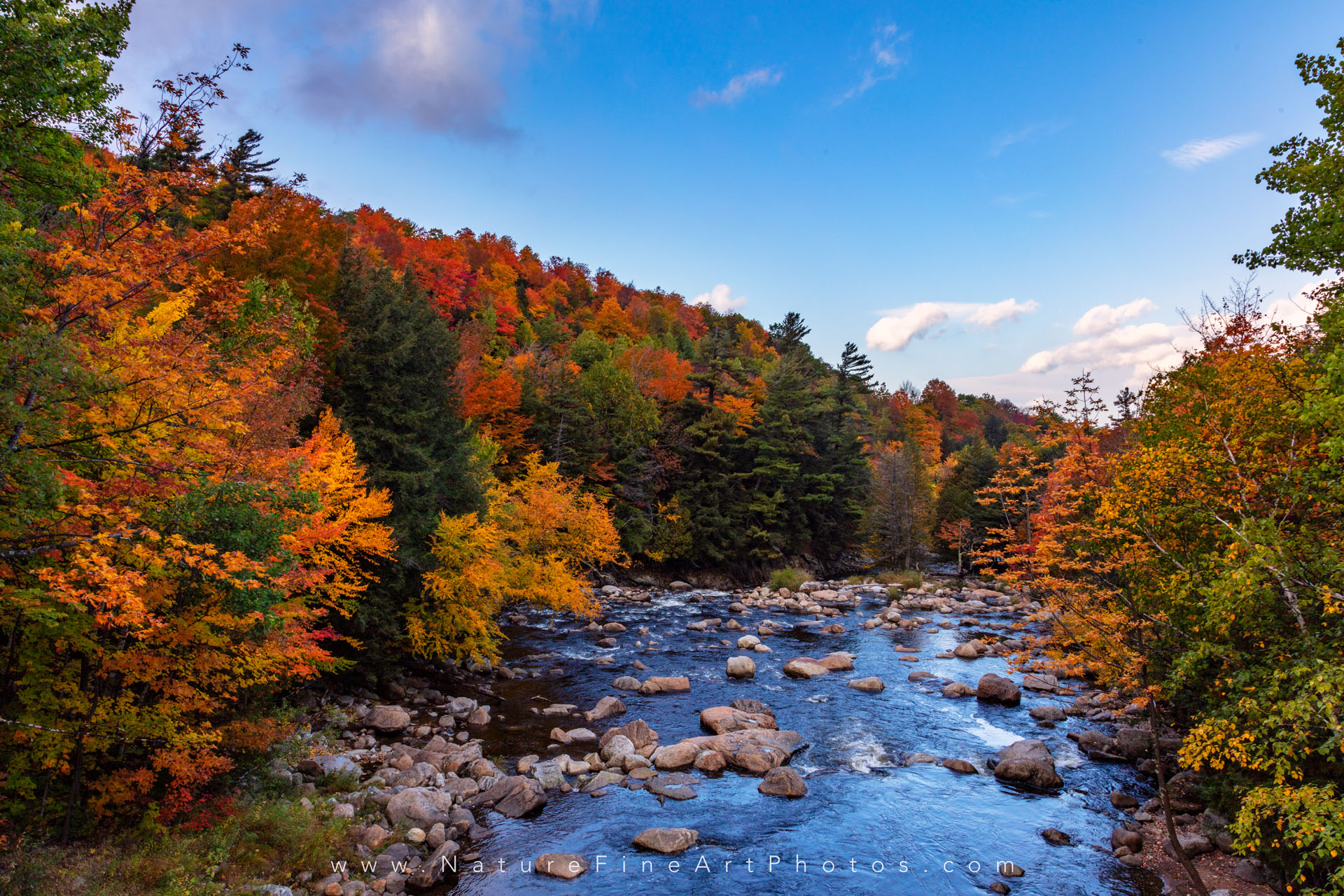 Mountain Fall Foliage Wallpapers