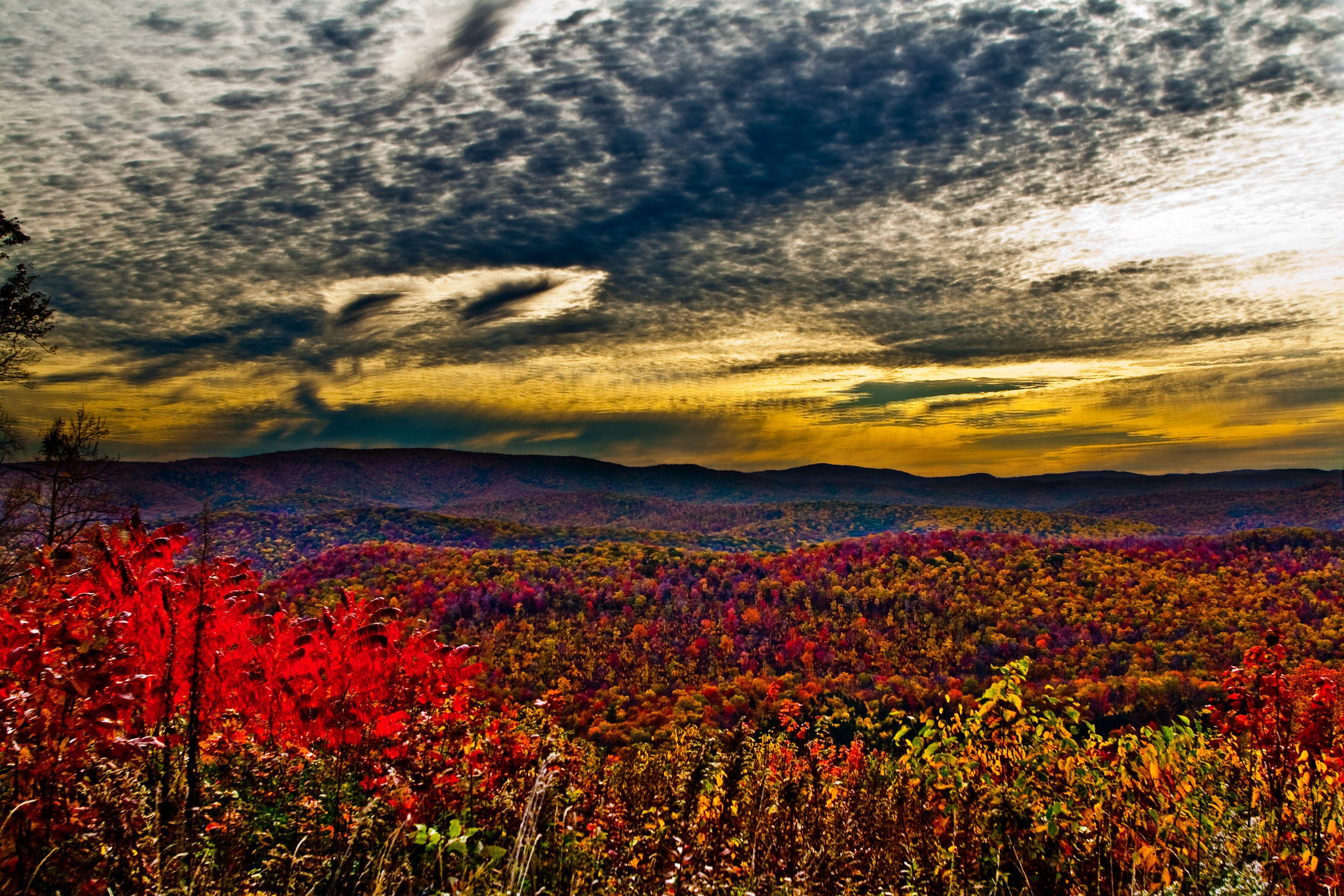 Mountain Fall Foliage Wallpapers