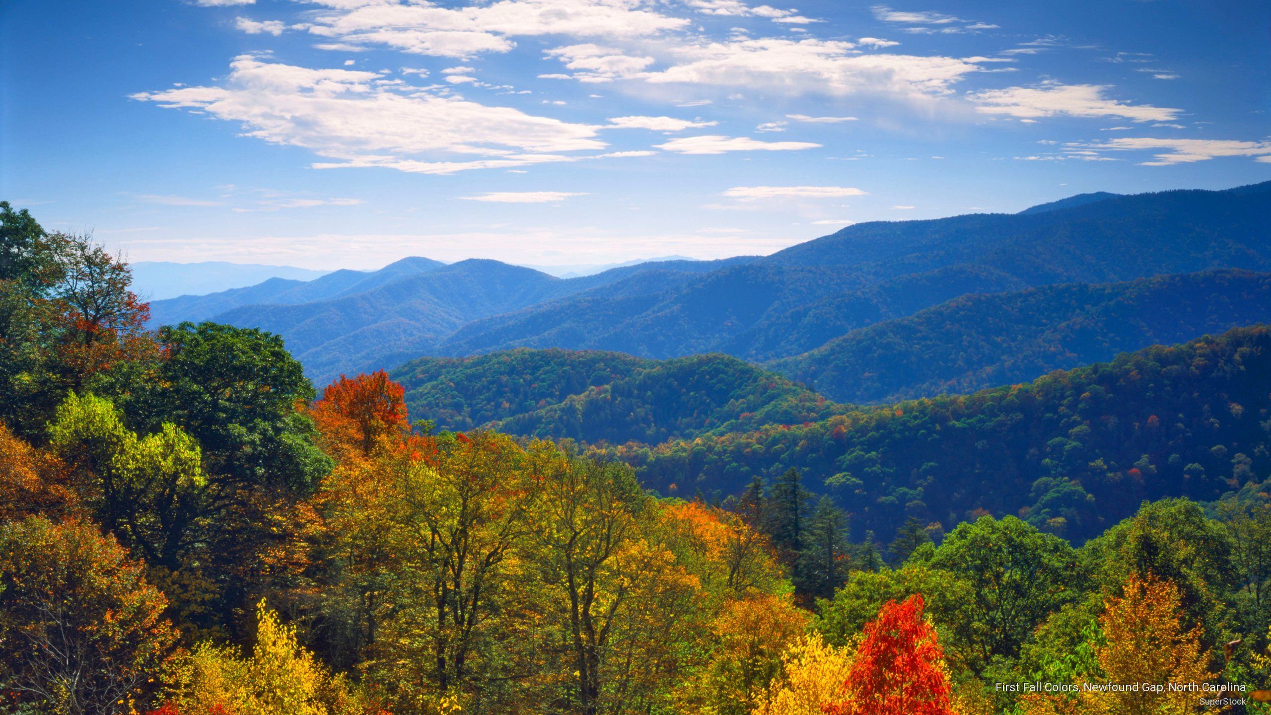 Mountain Fall Foliage Wallpapers