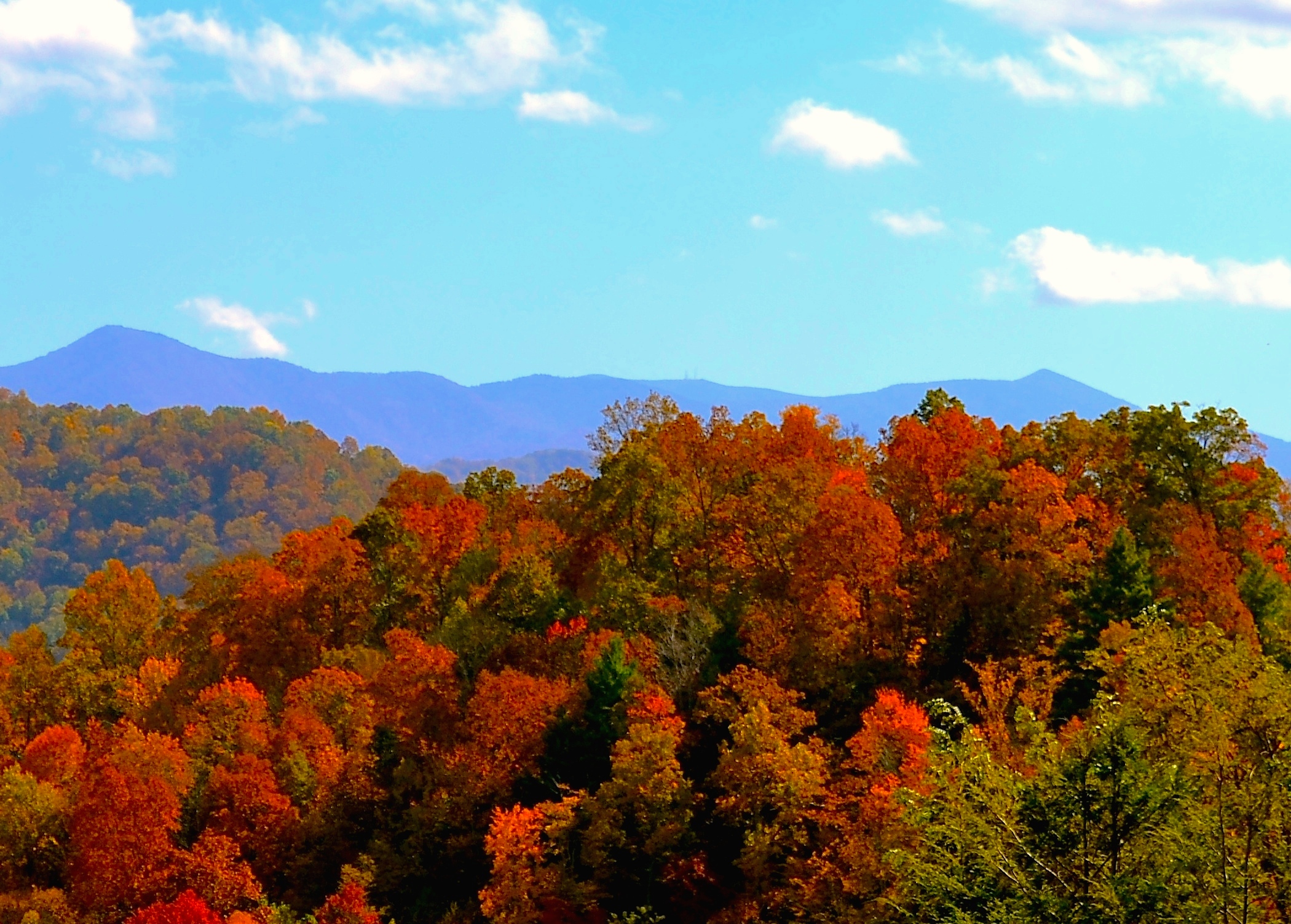 Mountain Fall Foliage Wallpapers