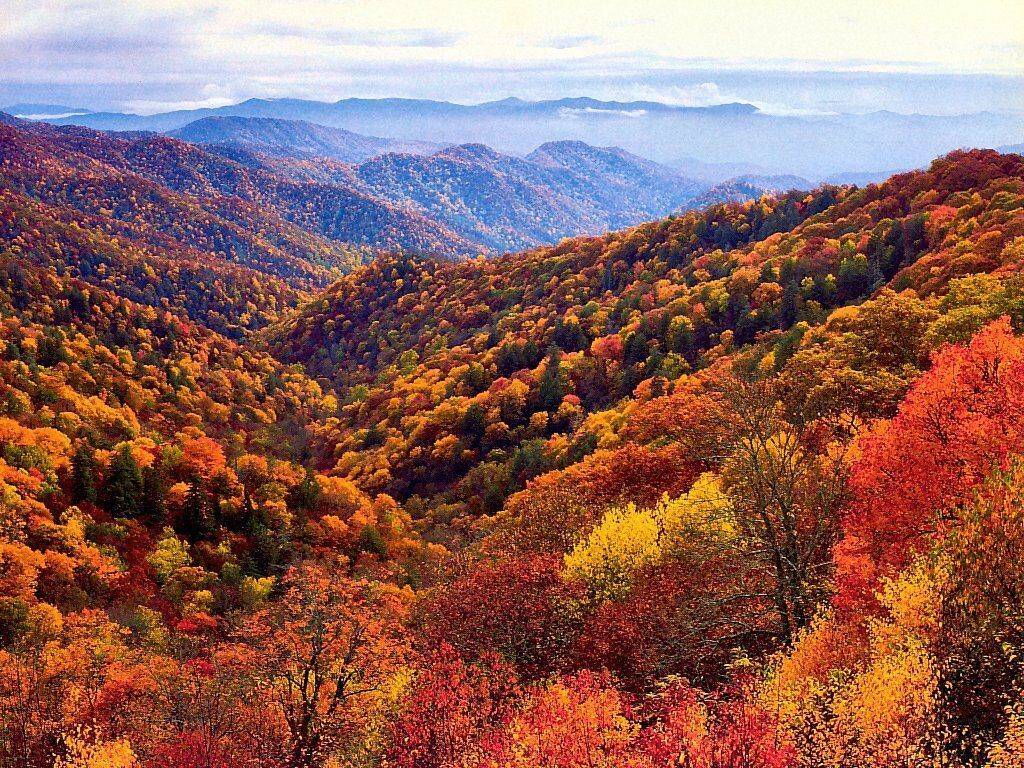 Mountain Fall Foliage Wallpapers