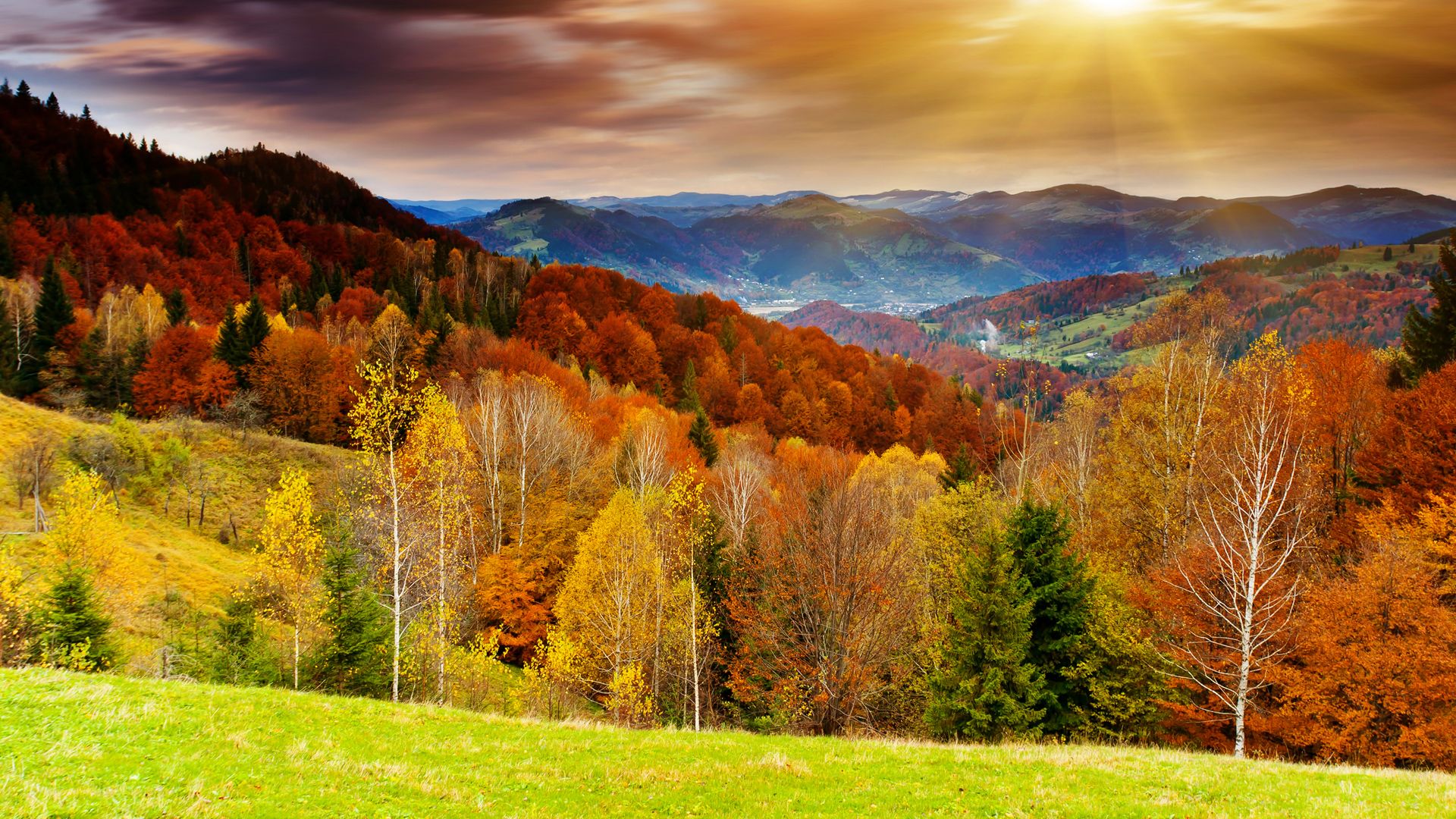 Mountain Fall Foliage Wallpapers