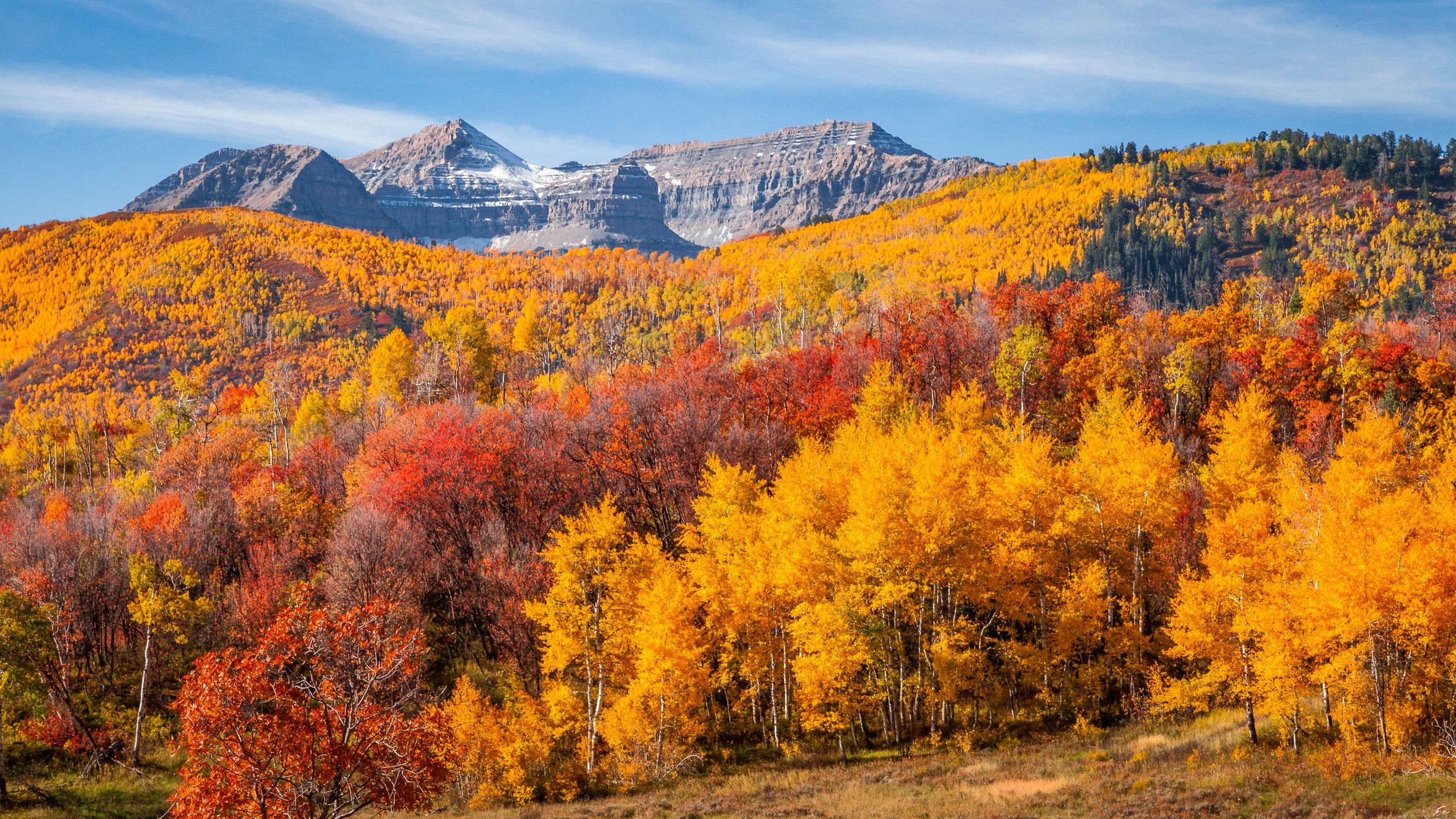 Mountain Fall Foliage Wallpapers