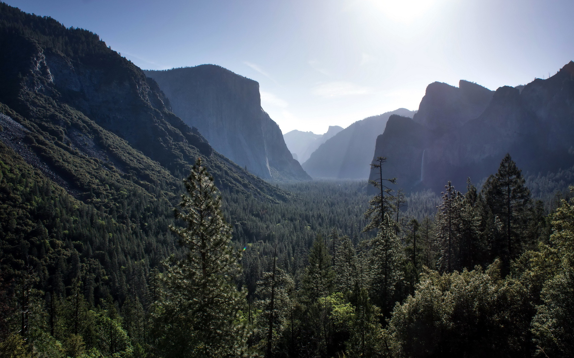 Mountain Forest Wallpapers