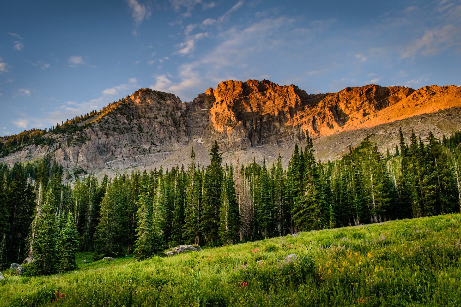 Mountain Forest Wallpapers