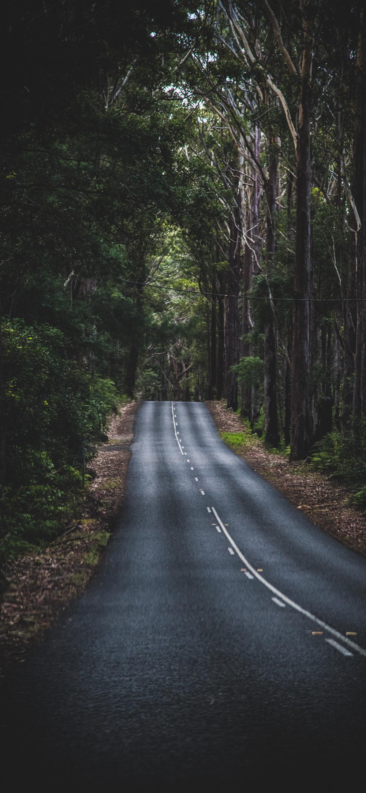 Mountain Road
 Wallpapers