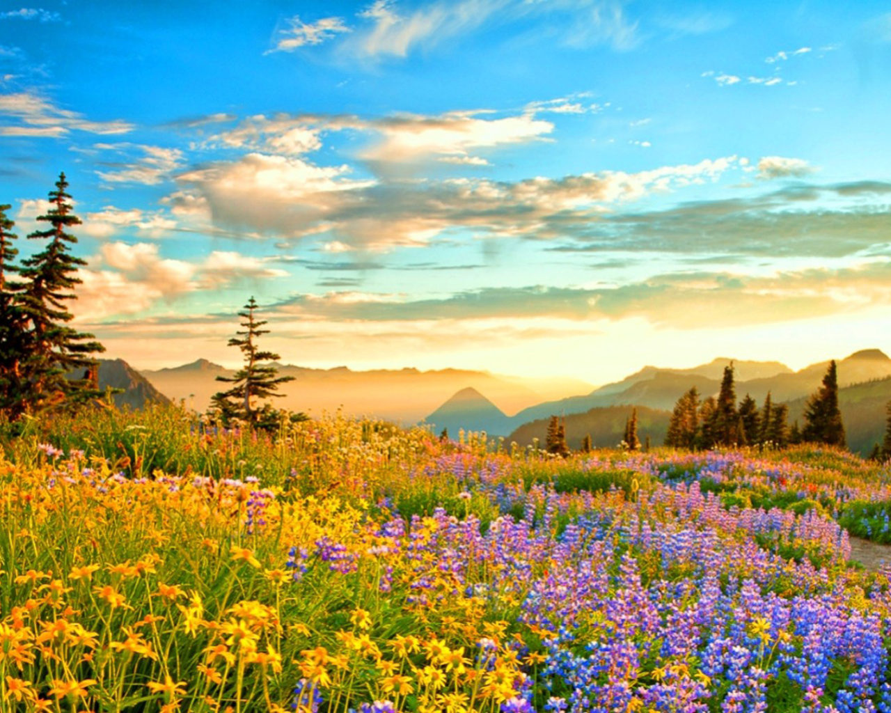 Mountain With Clouds In Background Of Blue And Purple Sky