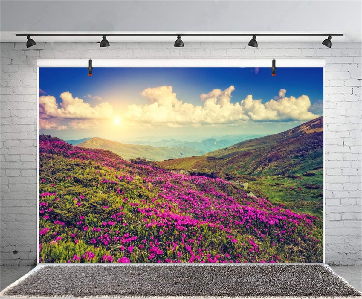 Mountain With Clouds In Background Of Blue And Purple Sky