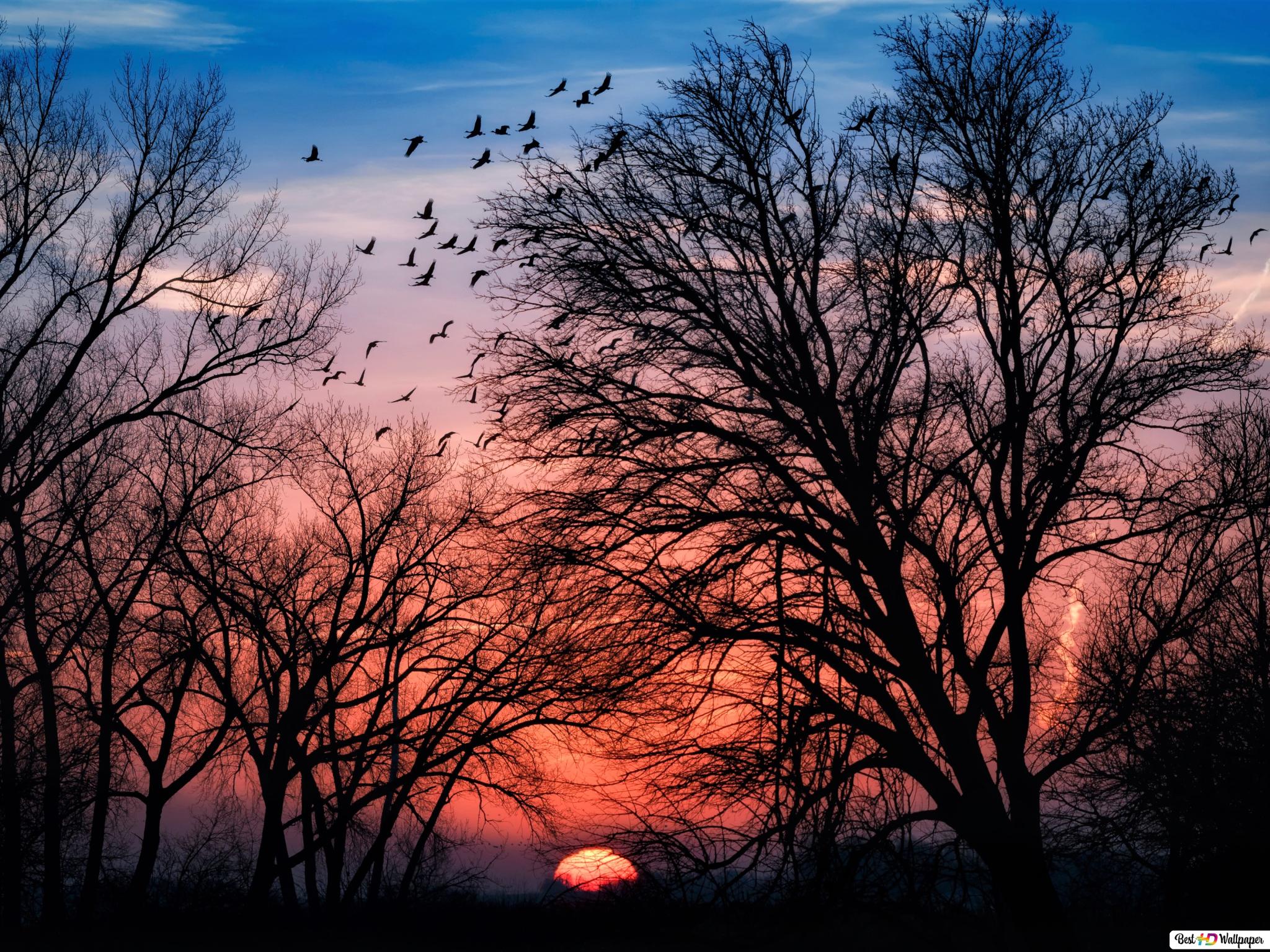 Mountains Silhouette During Sunset Wallpapers