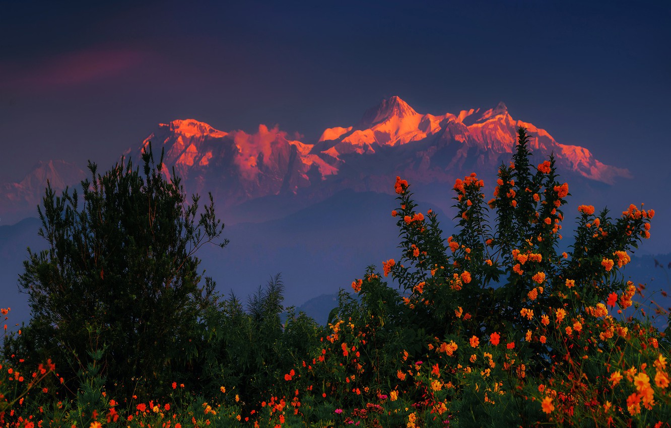 Mountains Sunrise Nepal Illustration Wallpapers