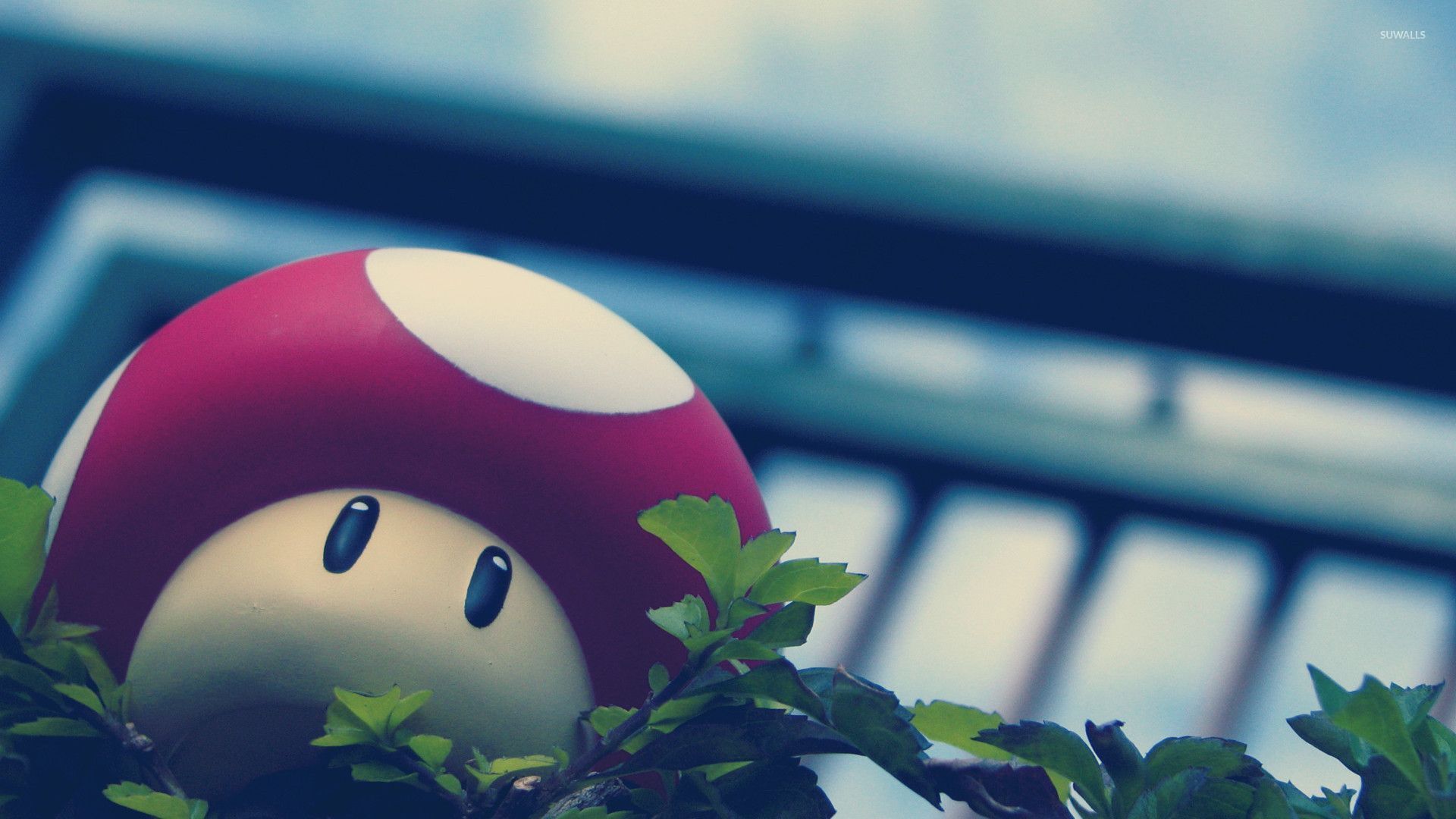 Mouse Mushroom Kingdom Wallpapers