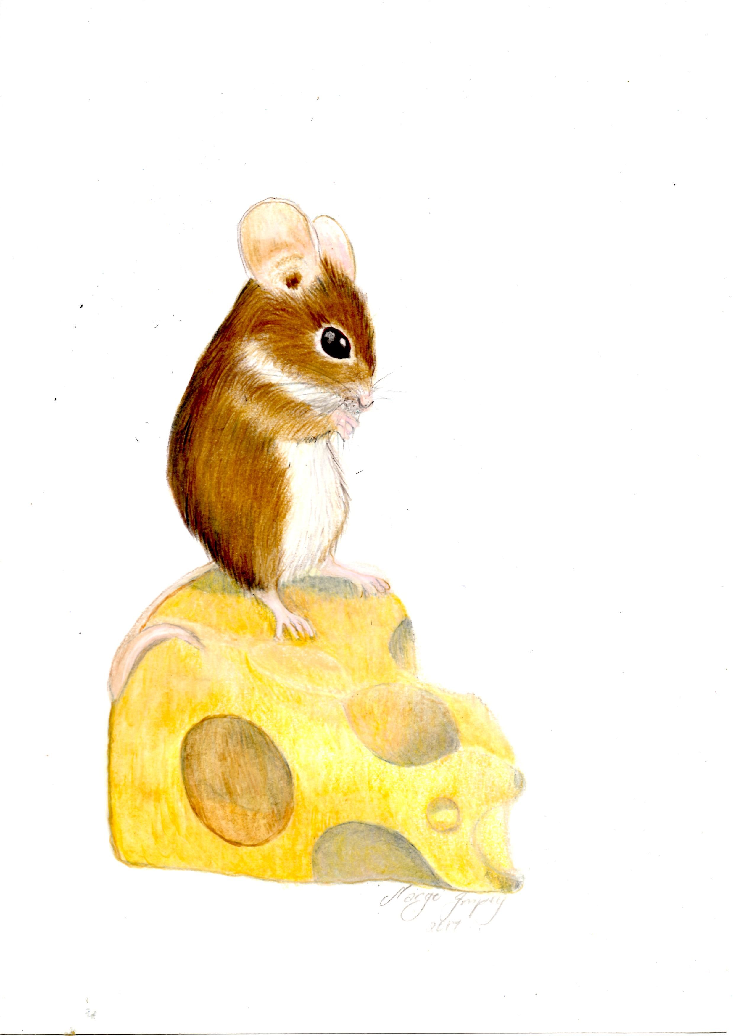 Mouse On Cheese And Rainbow Art Wallpapers