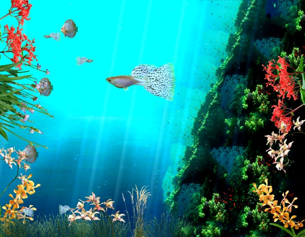 Moving Fish Background