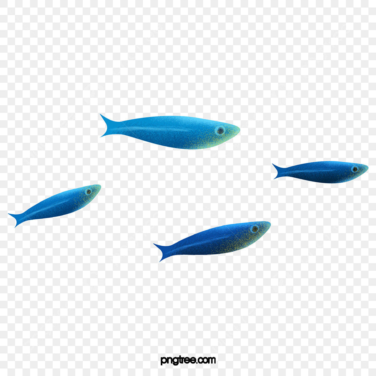 Moving Fish Background