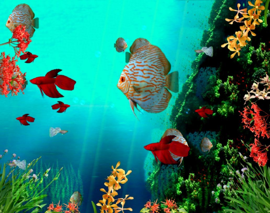 Moving Fish Background