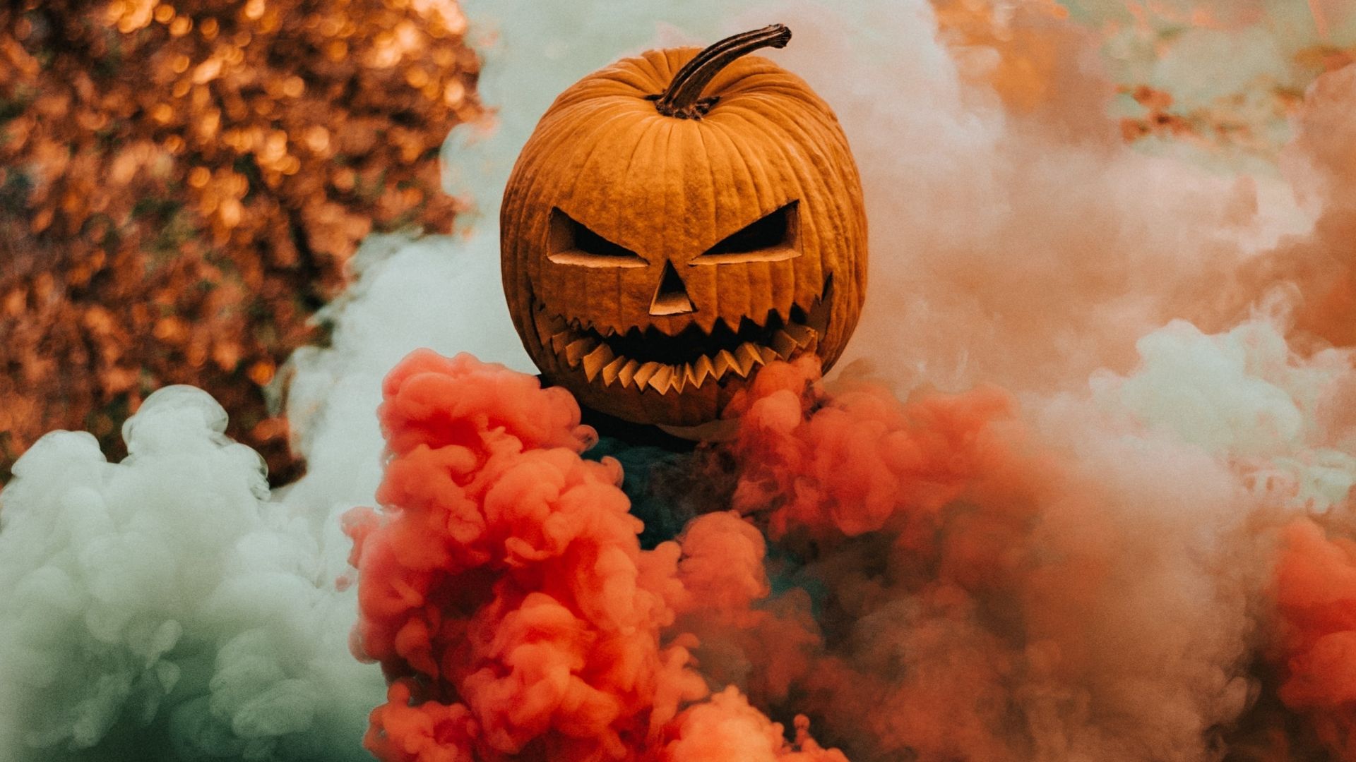 Mr. Pumkin Hd Halloween Wallpapers