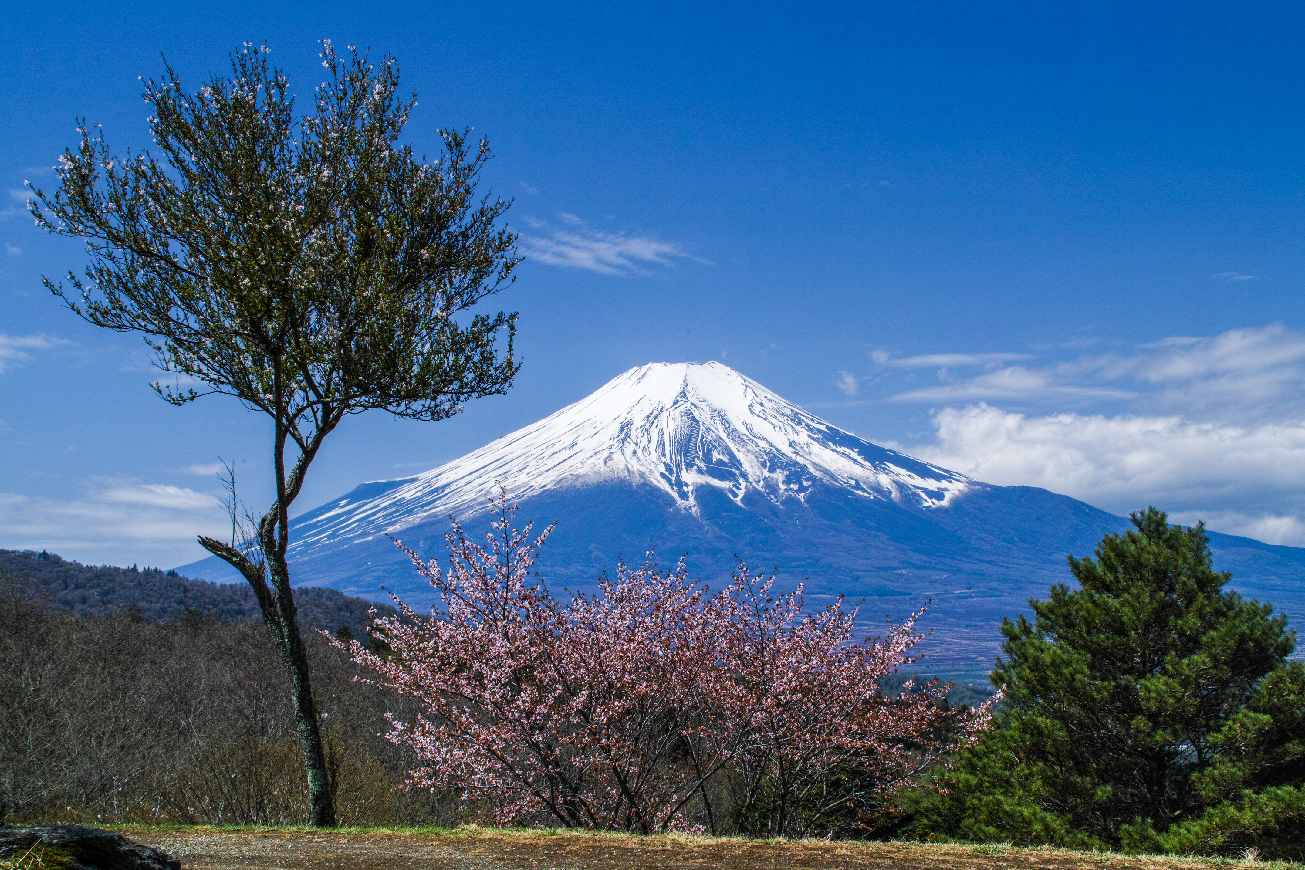 Mt Fuji Wallpapers