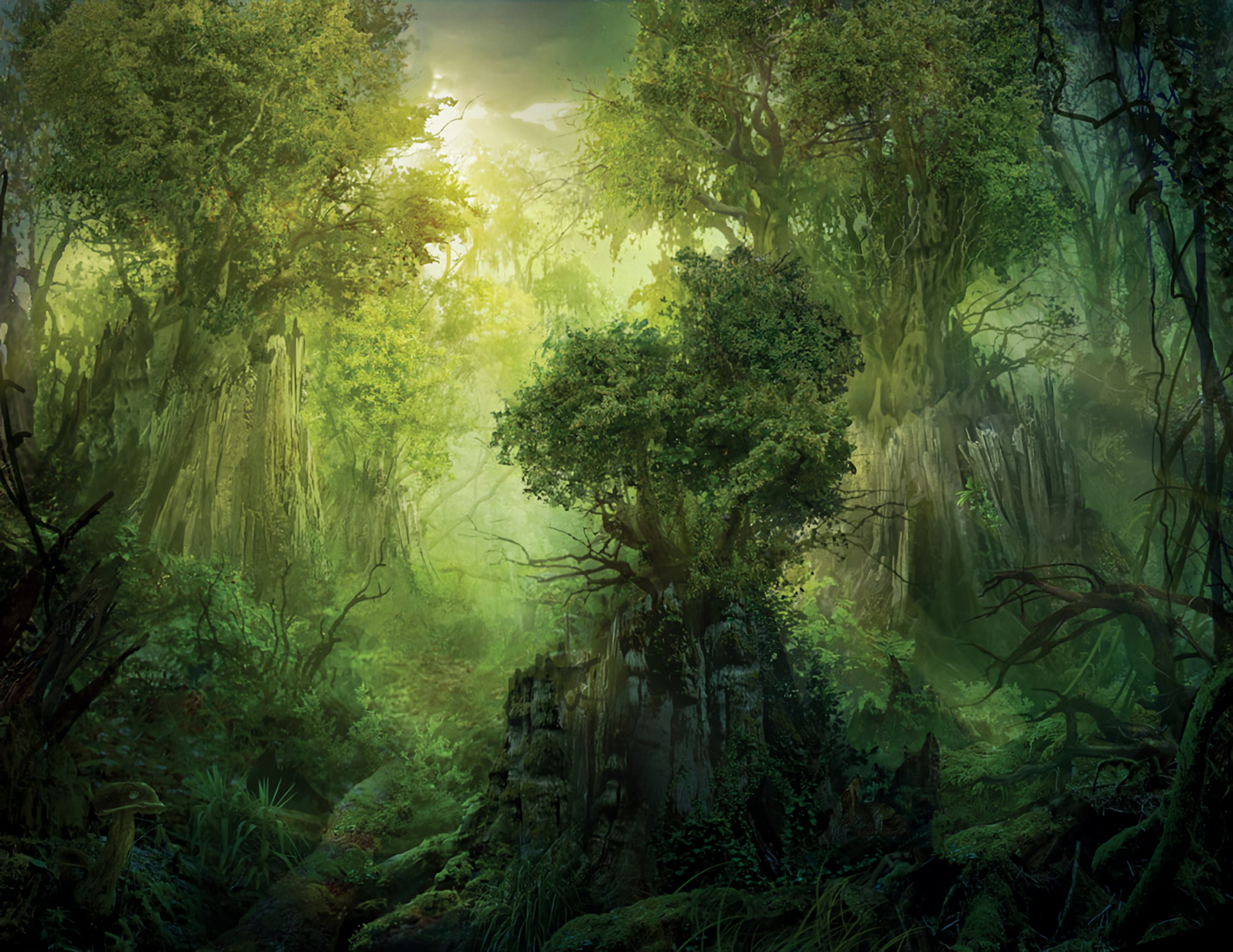 Mtg Forest Wallpapers