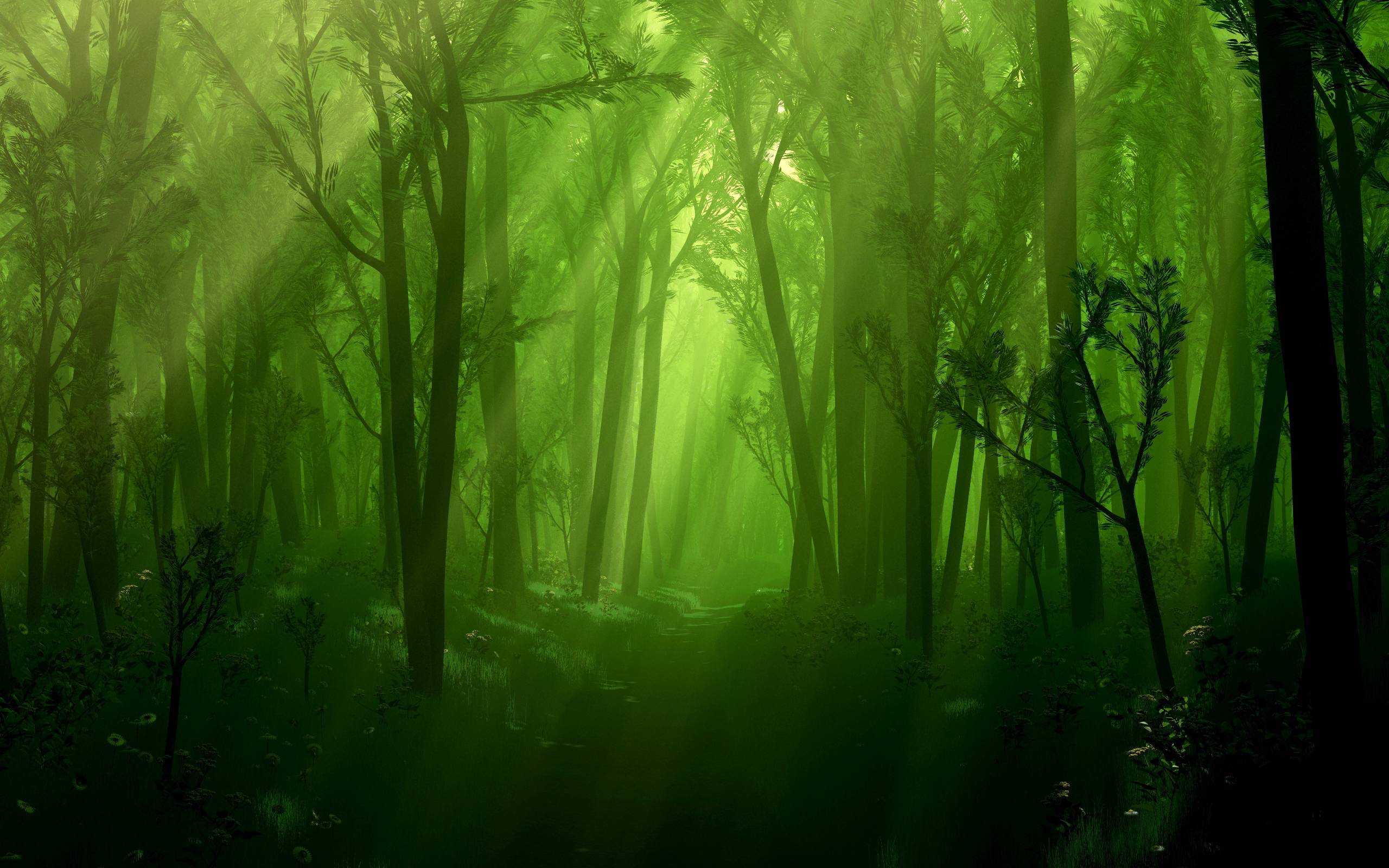 Mtg Forest Wallpapers