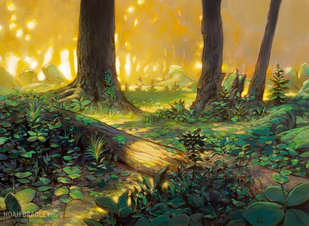 Mtg Forest Wallpapers