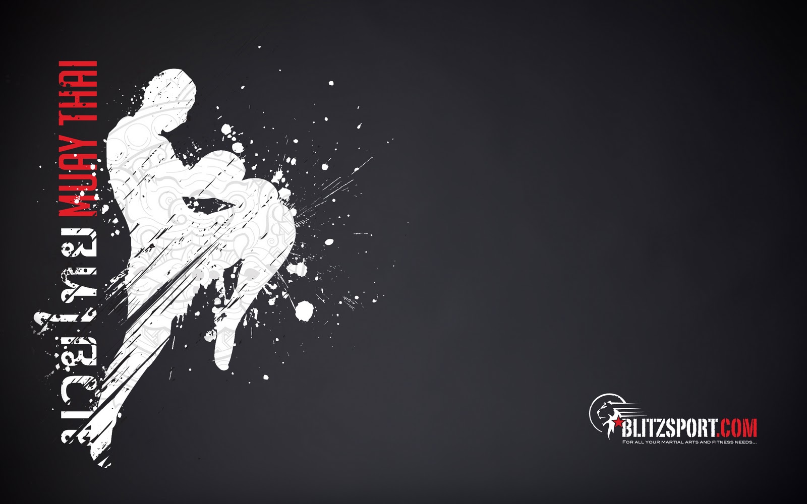 Muay Thai Boxing Wallpapers