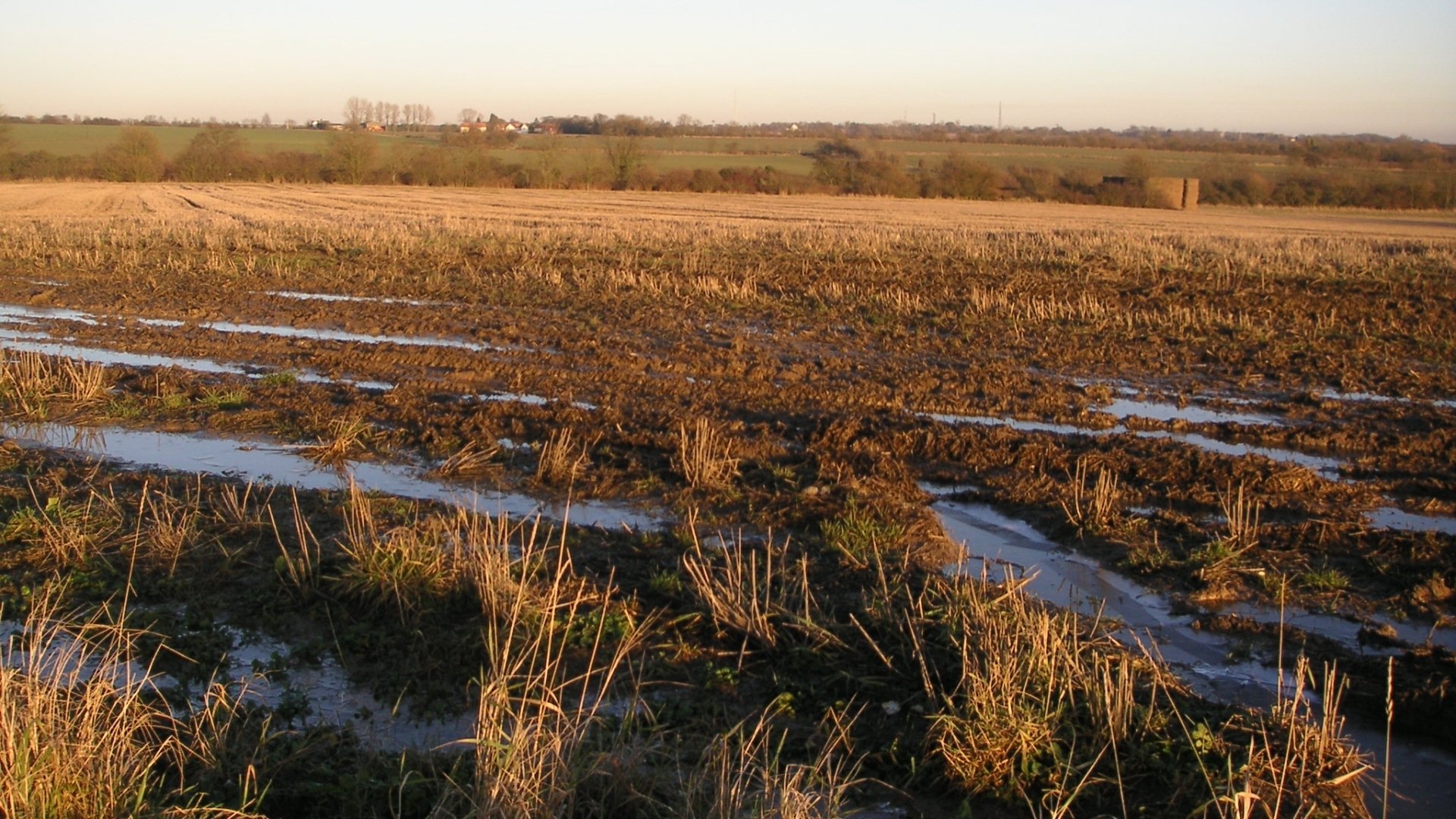 Muddy Field Wallpapers