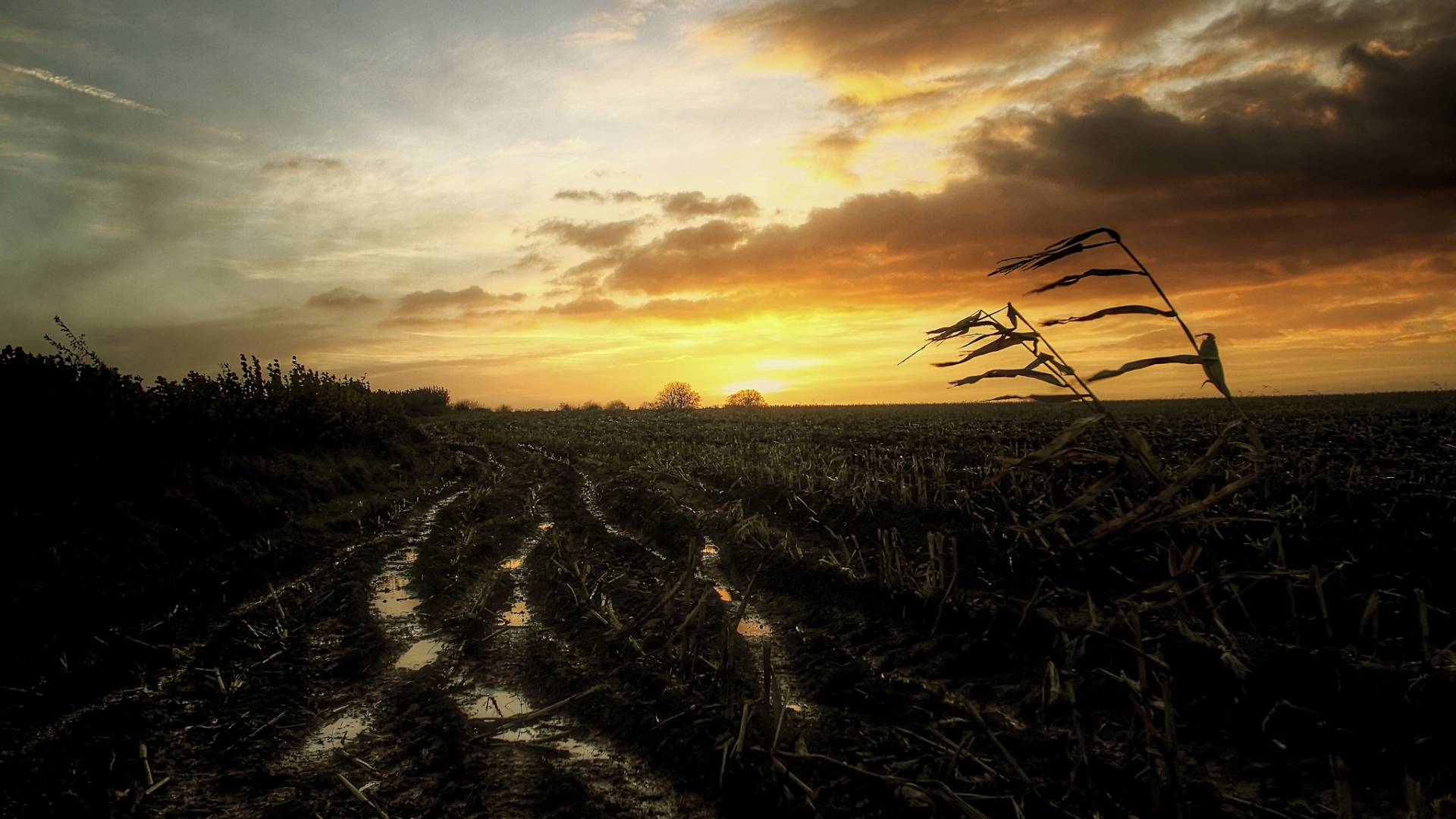 Muddy Field Wallpapers