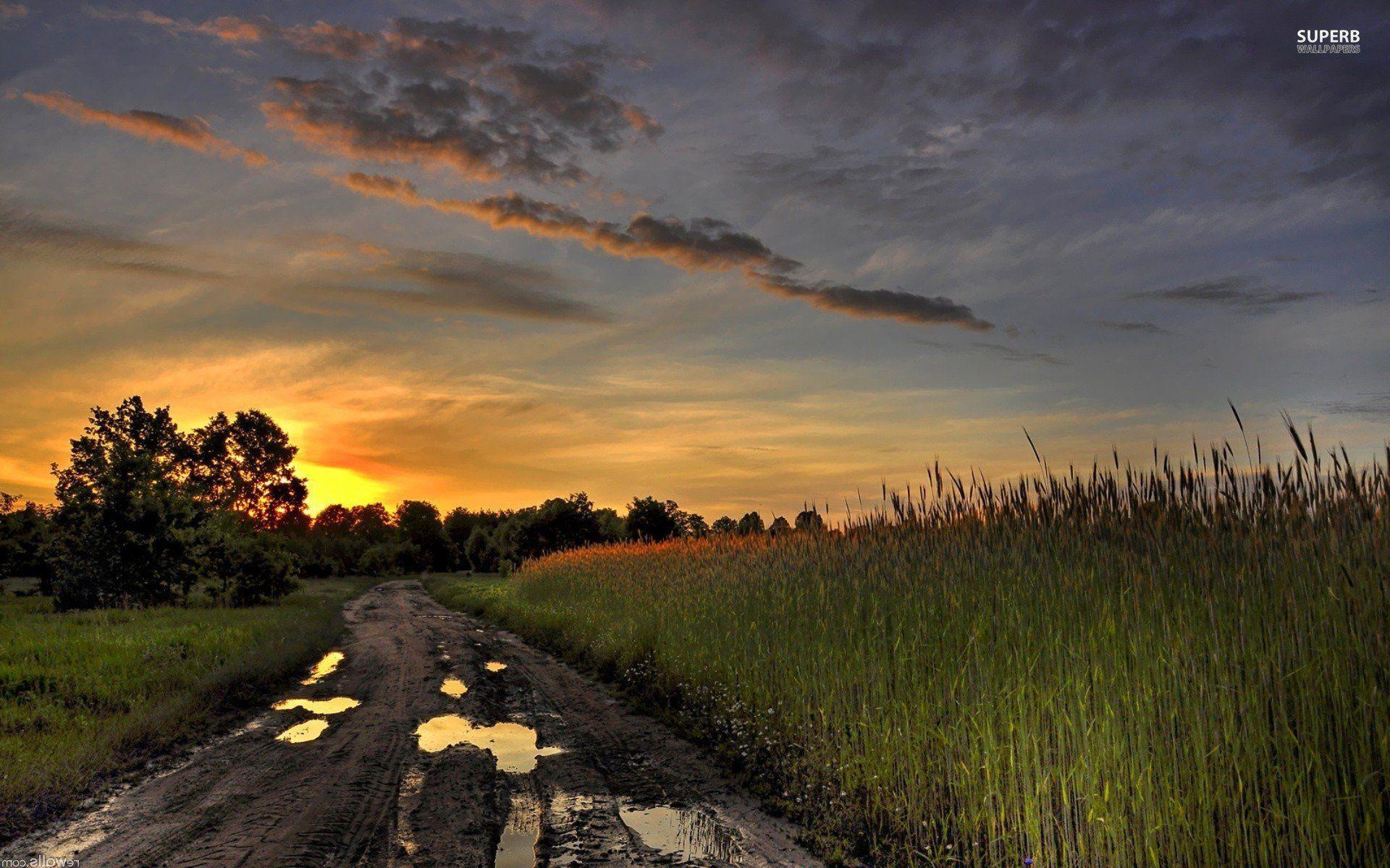 Muddy Field Wallpapers