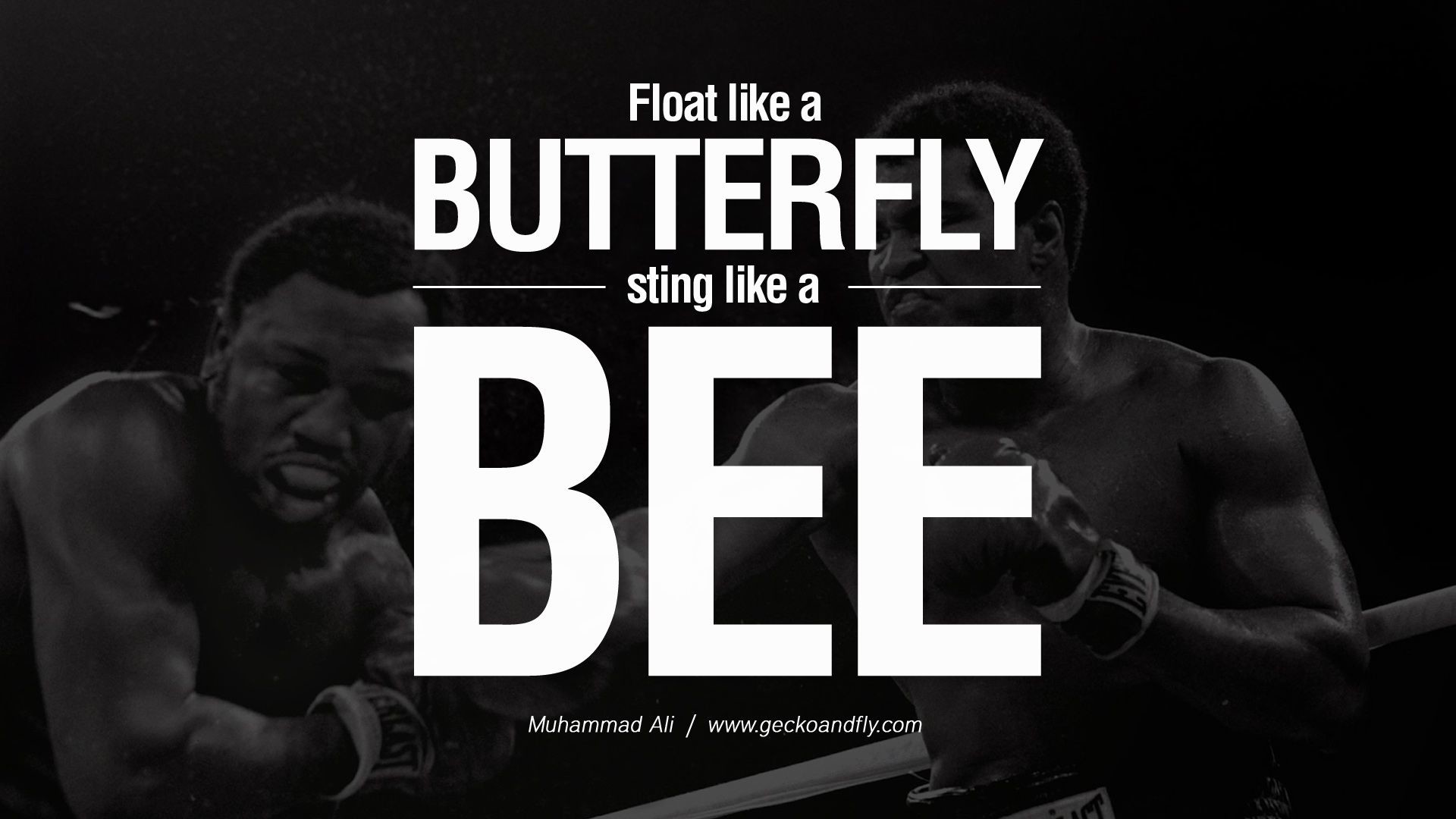 Muhammad Ali Quotes Wallpapers