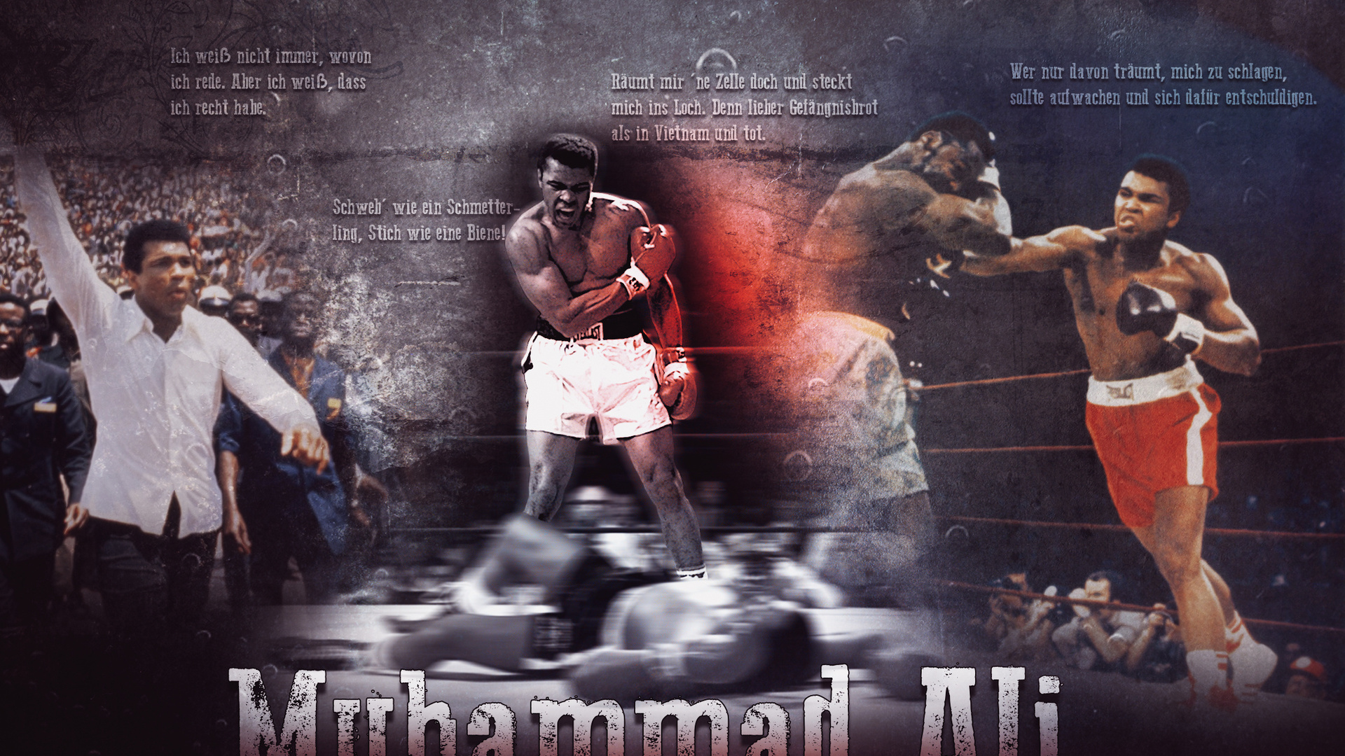 Muhammad Ali Wallpapers