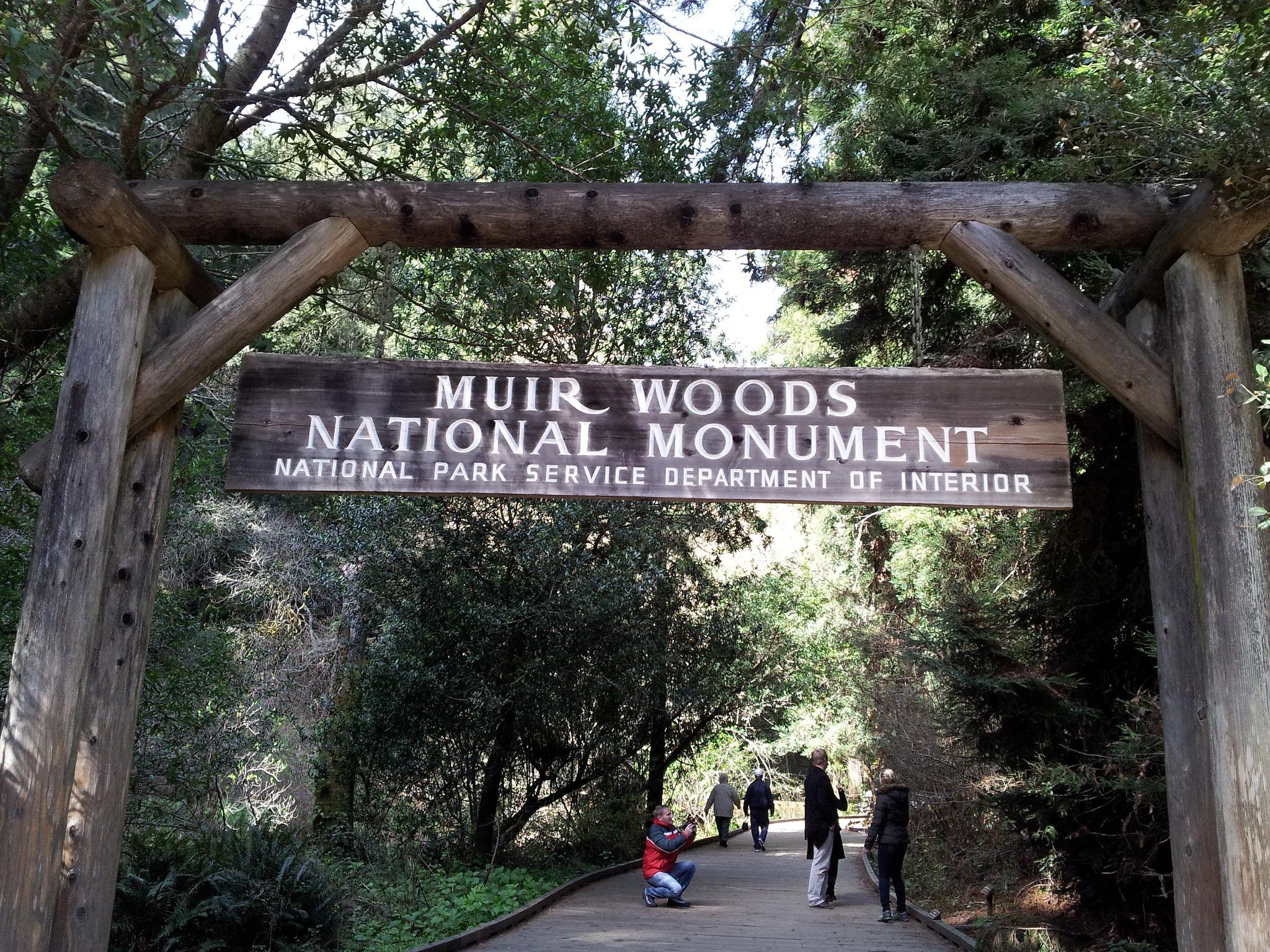 Muir Woods National Monument Wallpapers