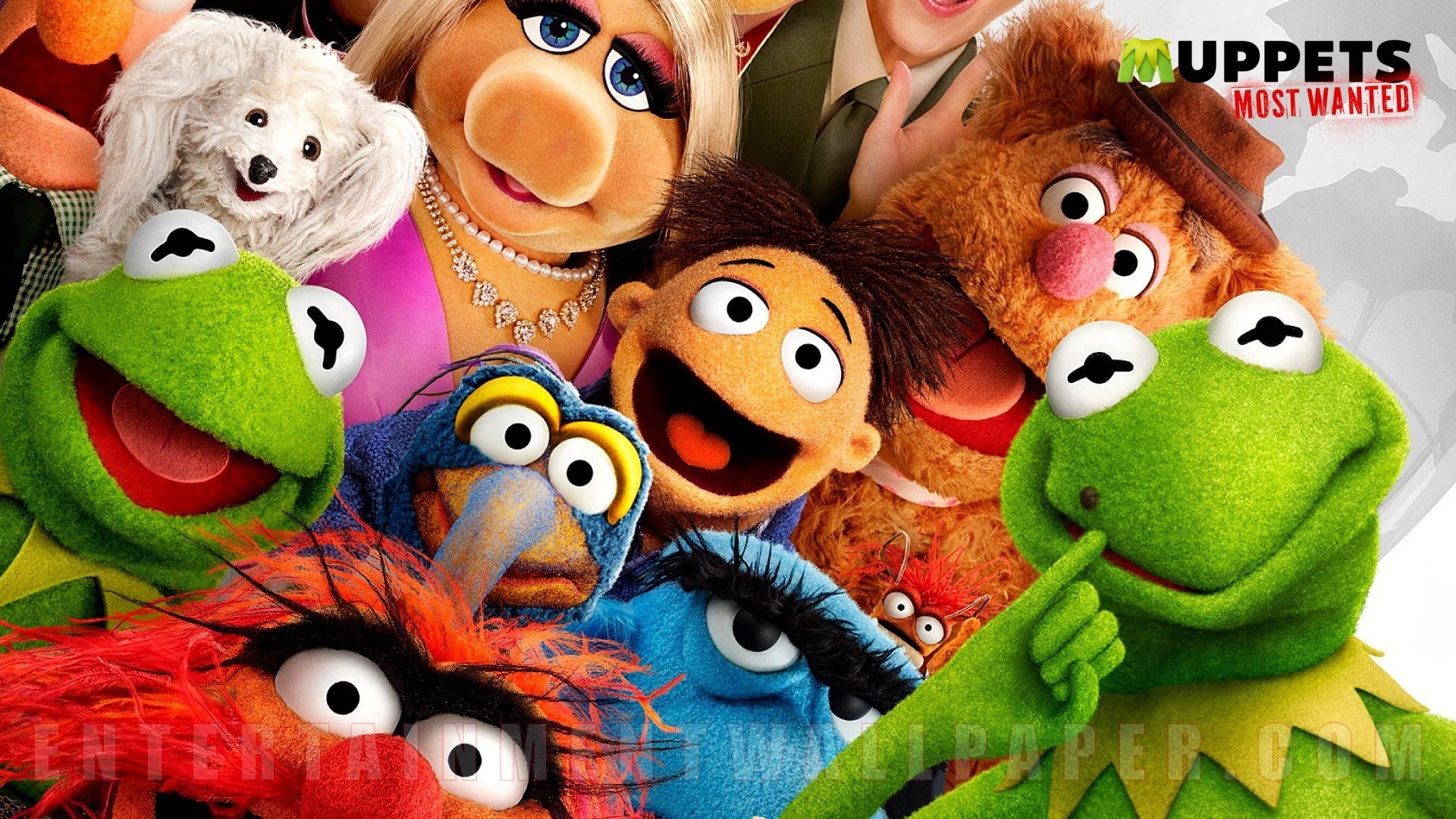 Muppets Wallpapers