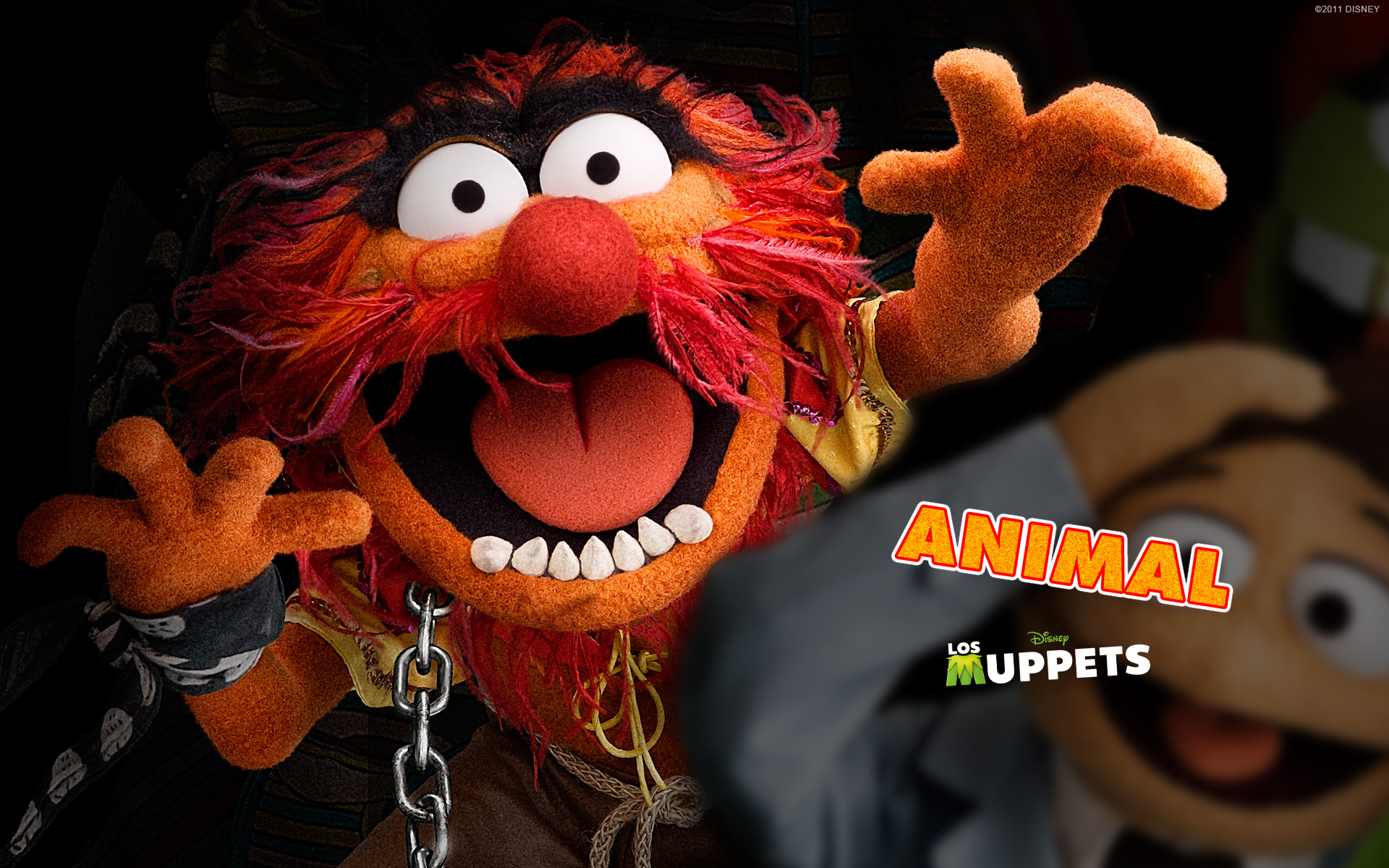 Muppets Wallpapers