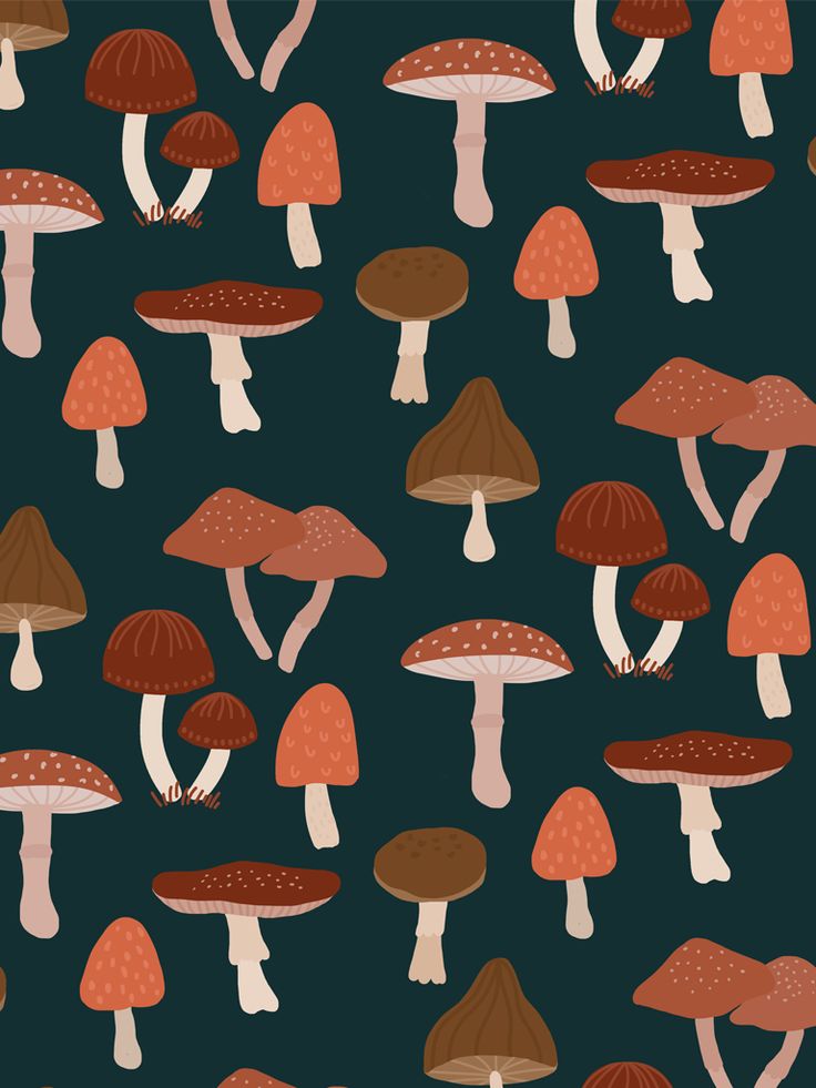 Mushroom Background